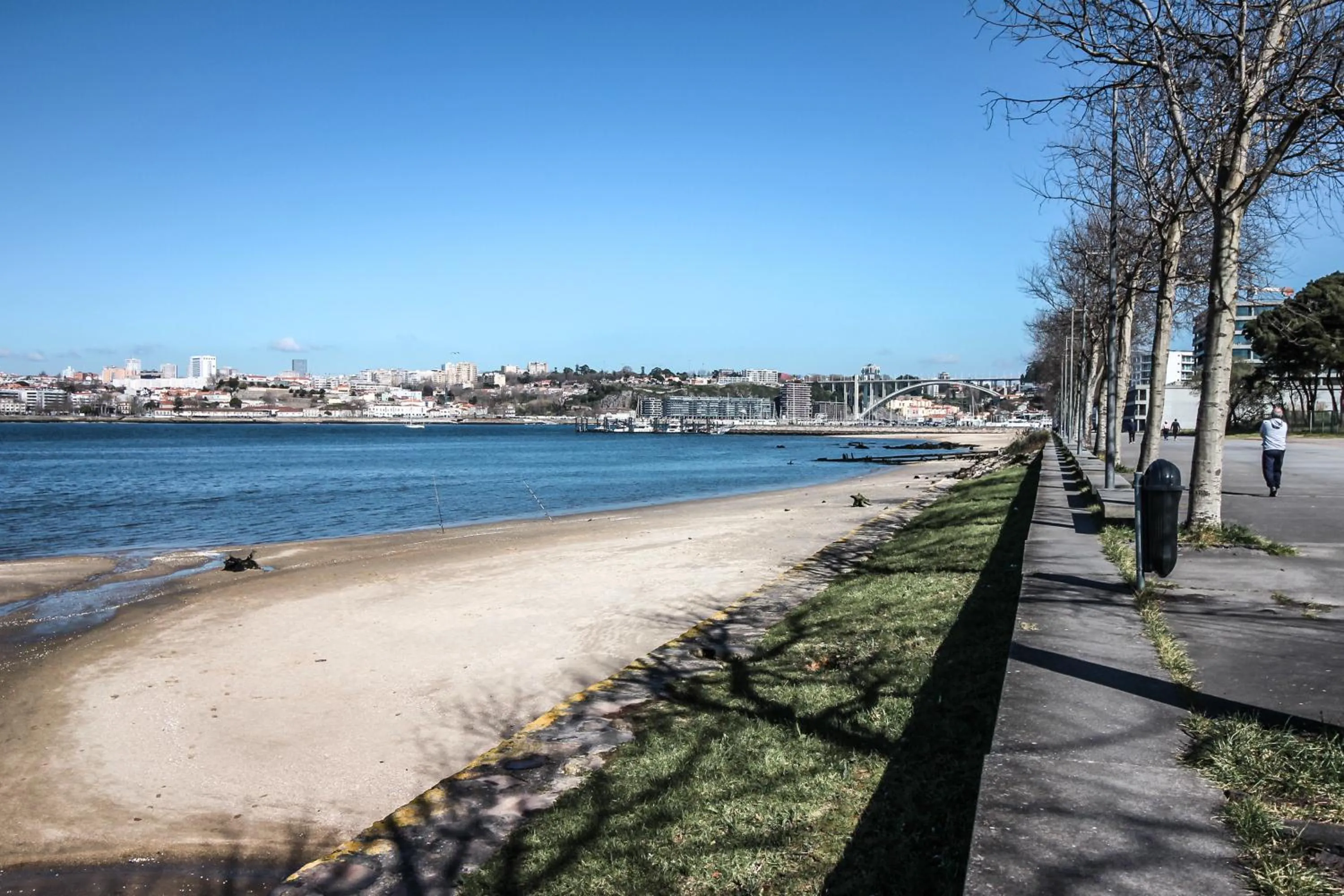 Natural landscape in Atelier 321- Porto- Praia- Rio- Terraço