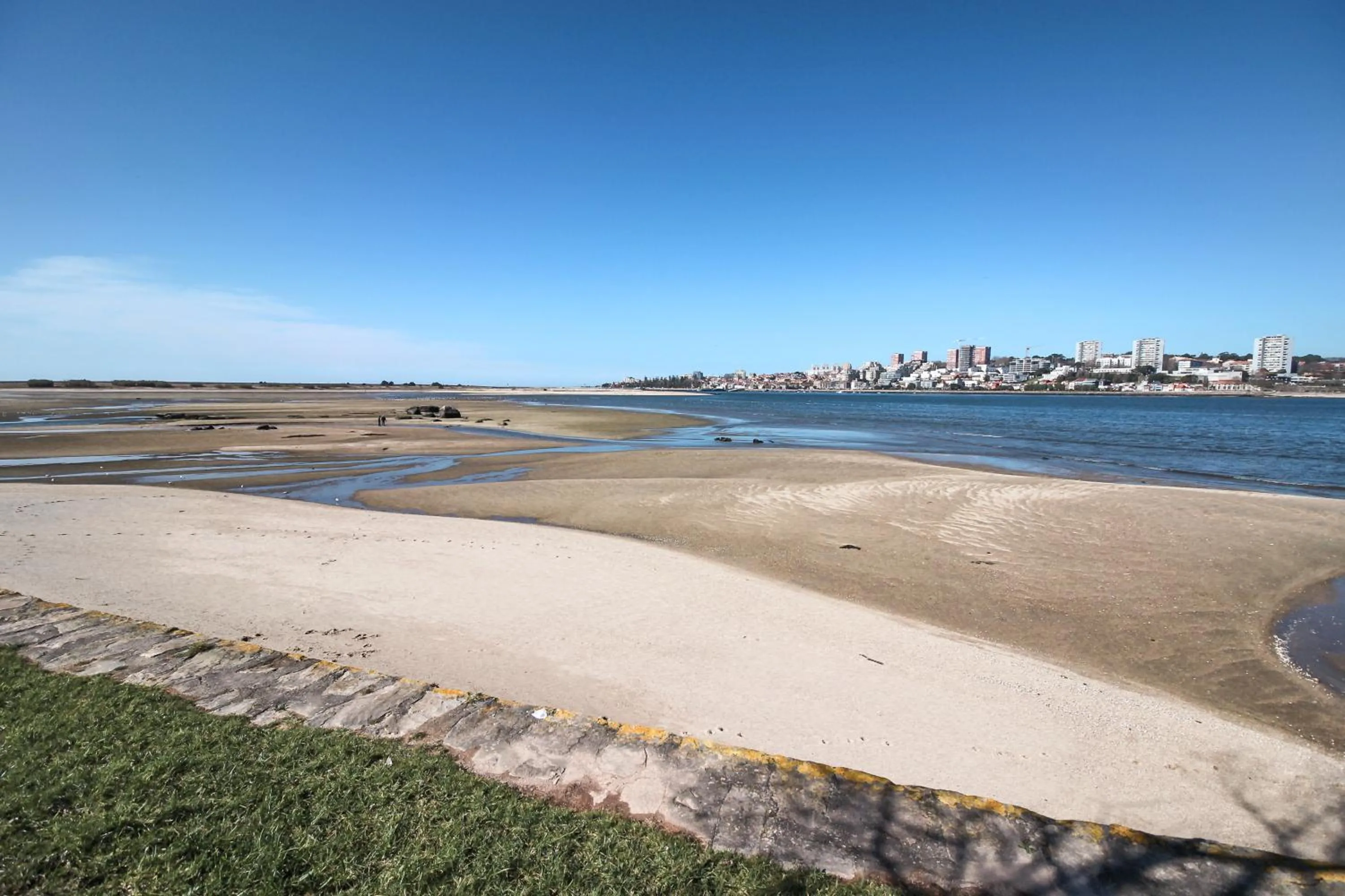 Natural landscape in Atelier 321- Porto- Praia- Rio- Terraço