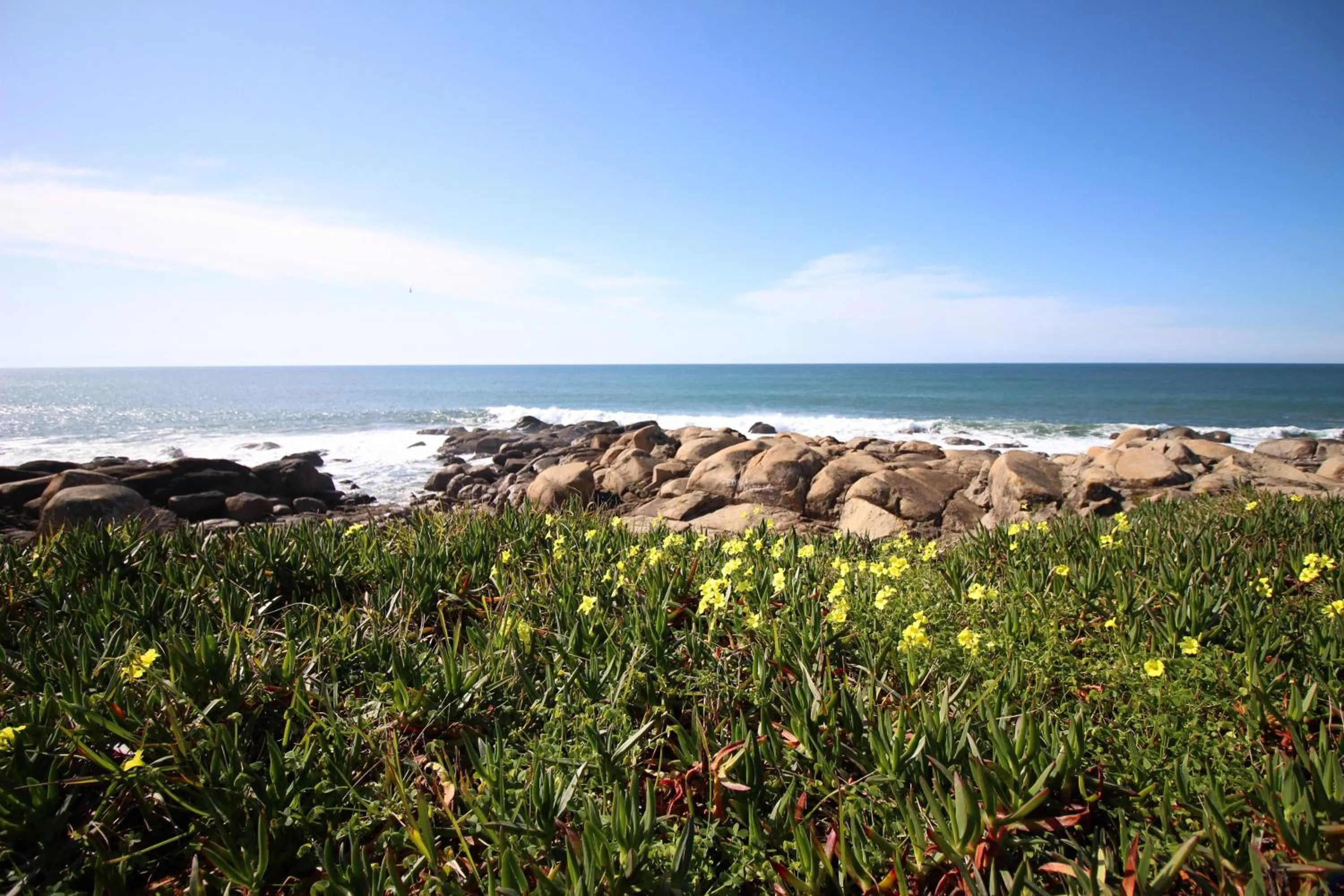 Natural landscape in Atelier 321- Porto- Praia- Rio- Terraço