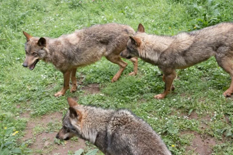 Gran Hotel Rural Cela