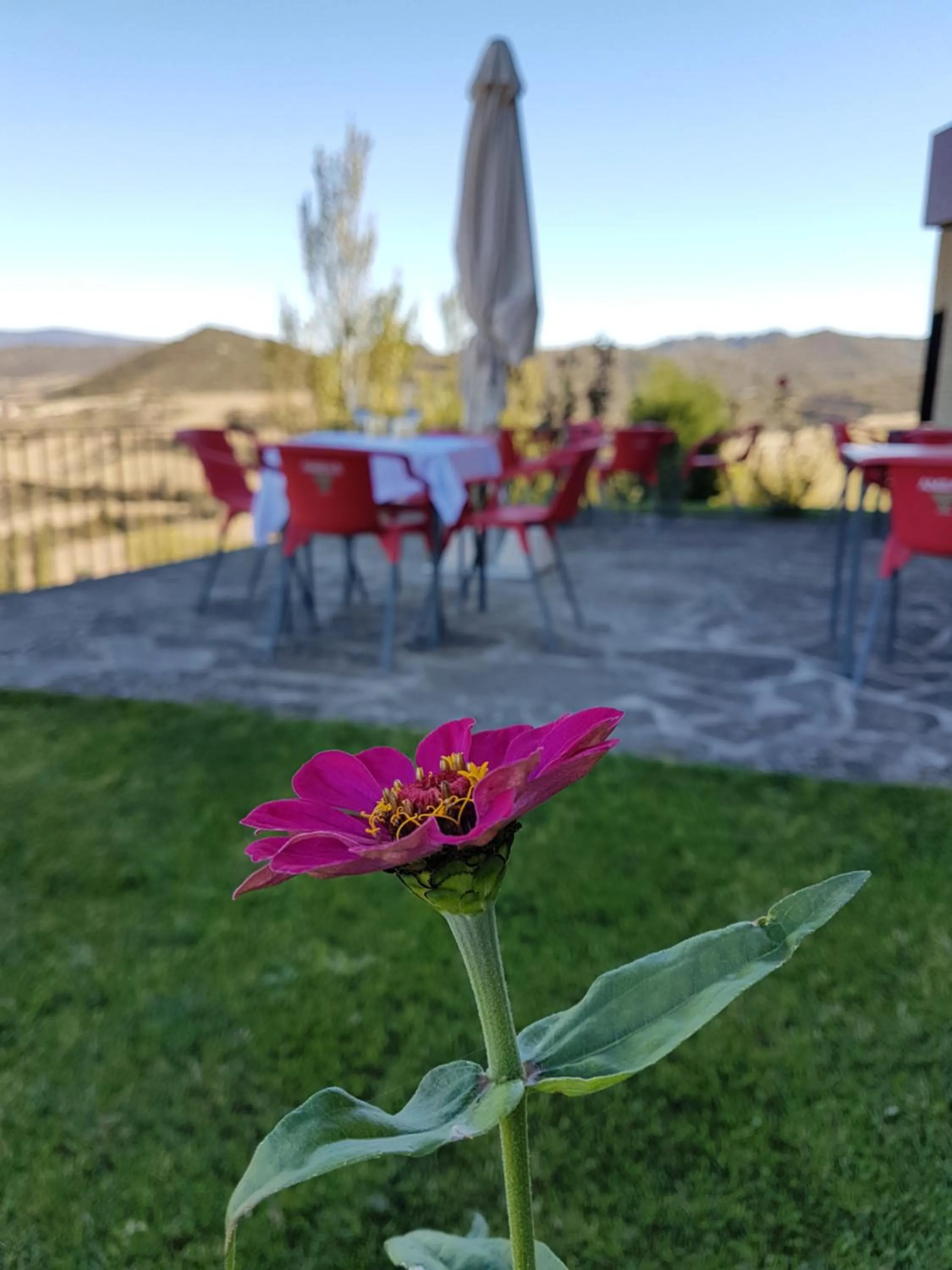 Garden in Hotel Alda Triskel