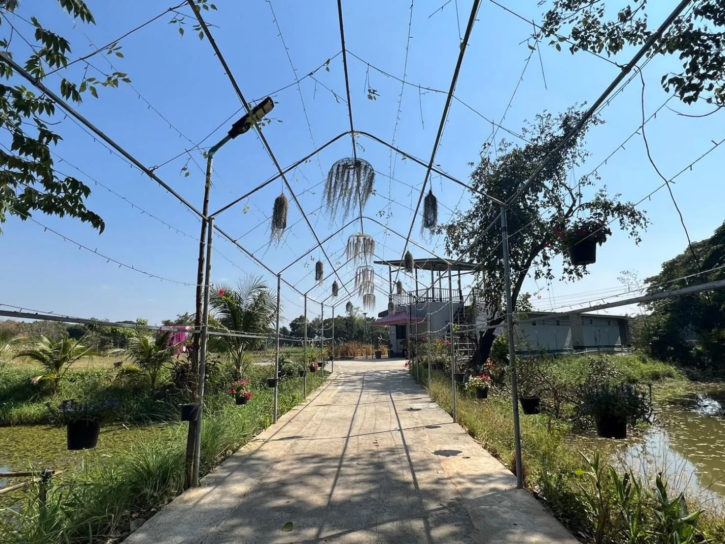 Natural landscape in C-Code Resort