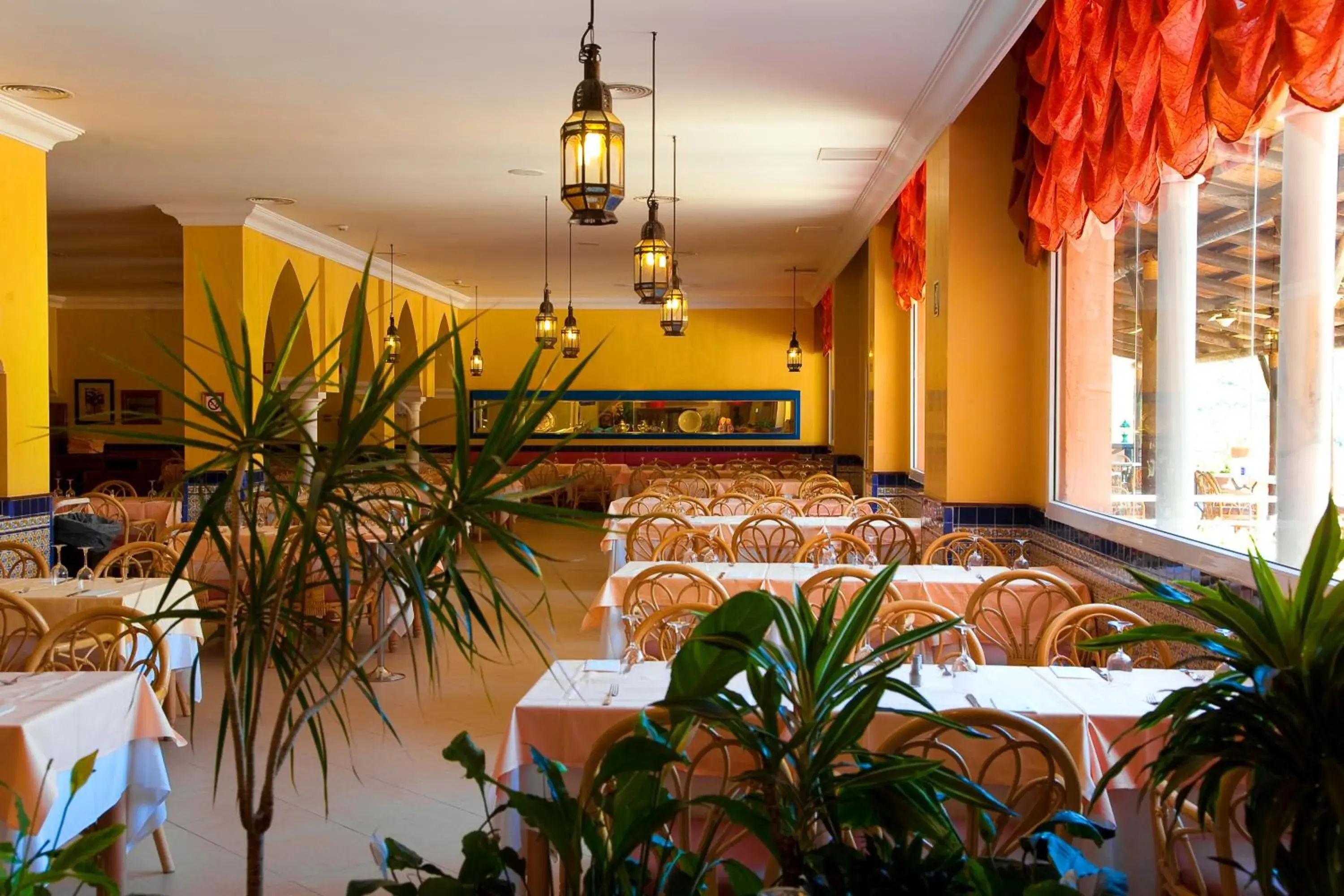 Food and drinks in Playacálida Food and drinks in Playacálida