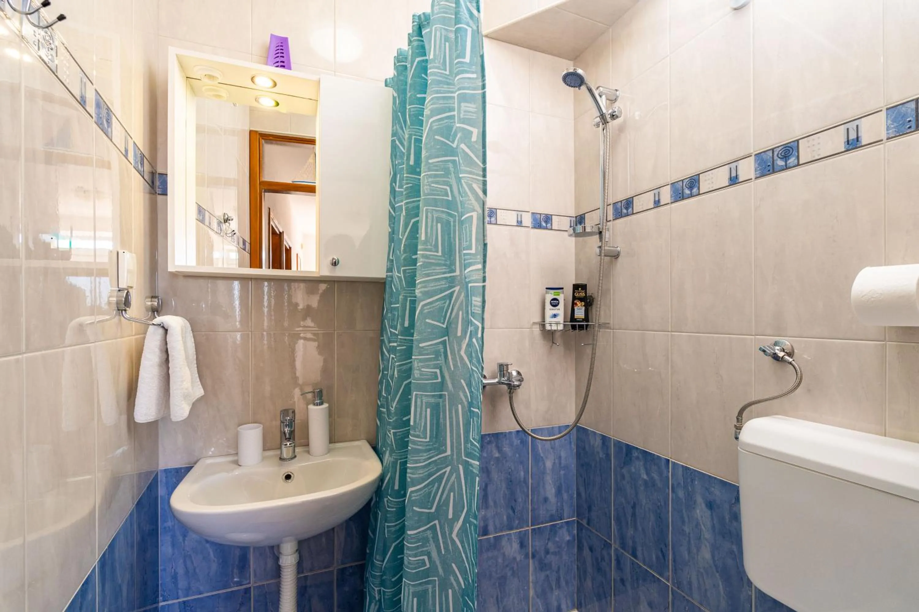 Shower in Sea View Apartment Nuncijata