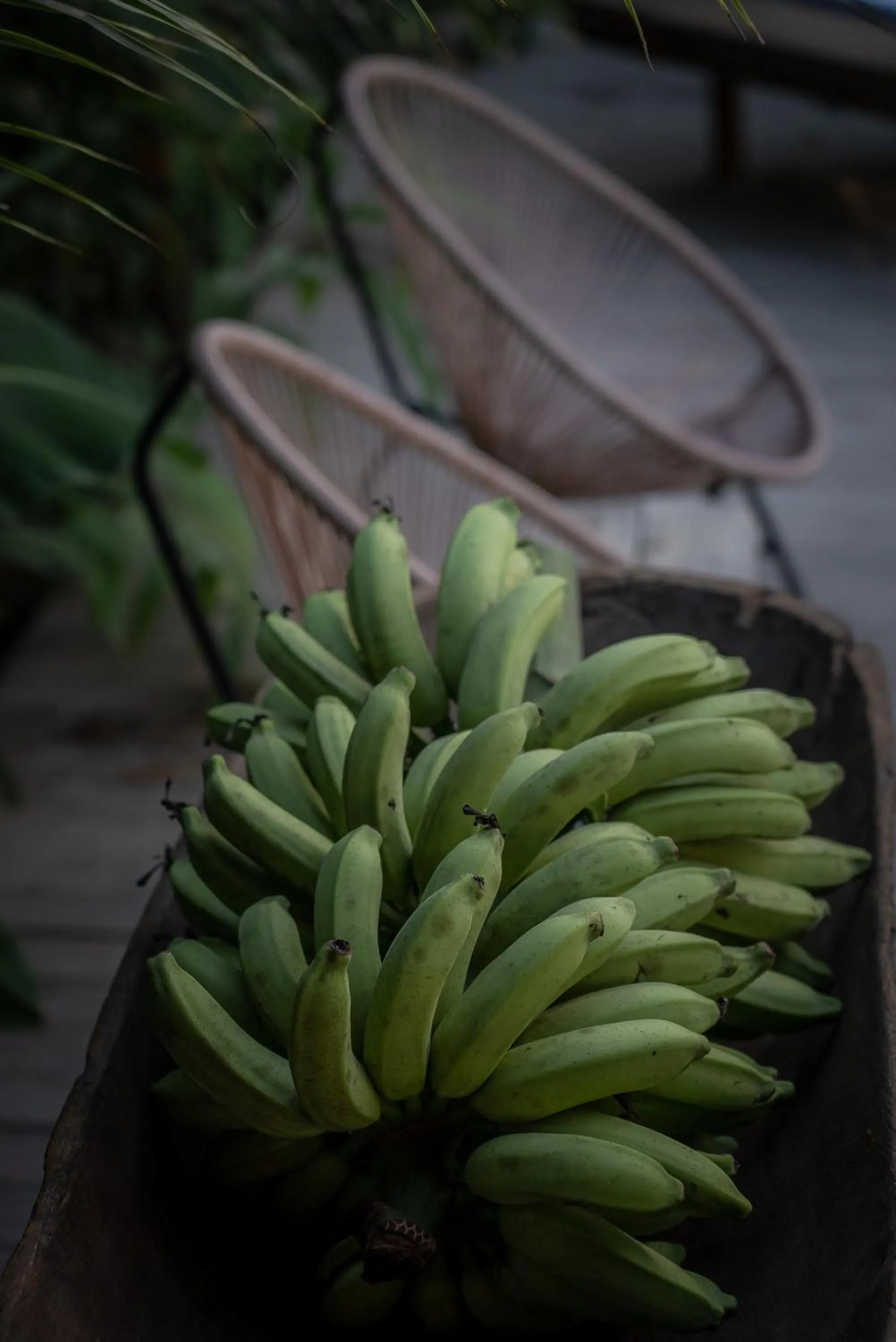 Natural landscape in Villa Mediterrâneo Trancoso