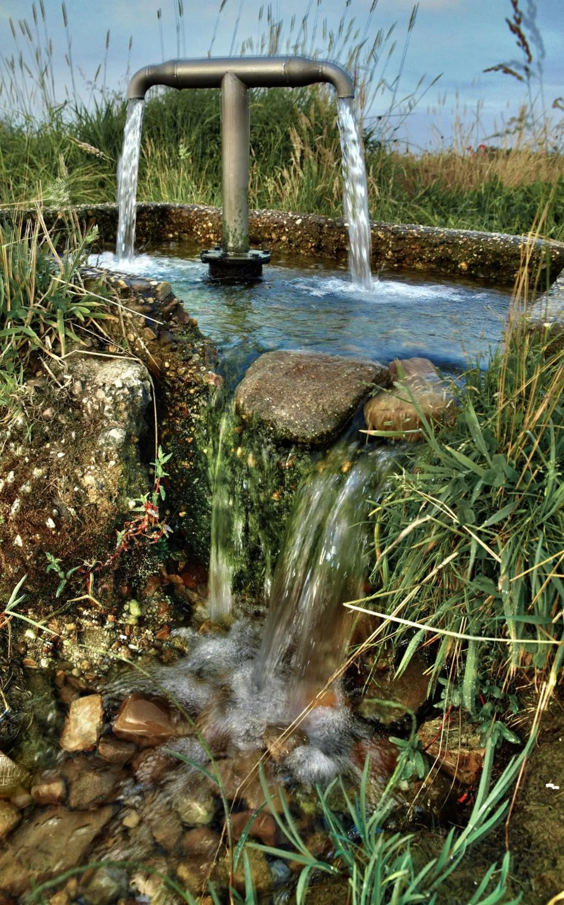 Señorío de Los Bazán