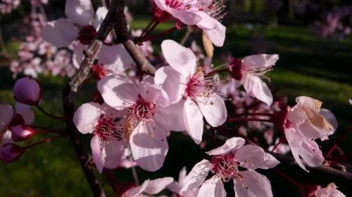 Other in Hotel Torre Marti