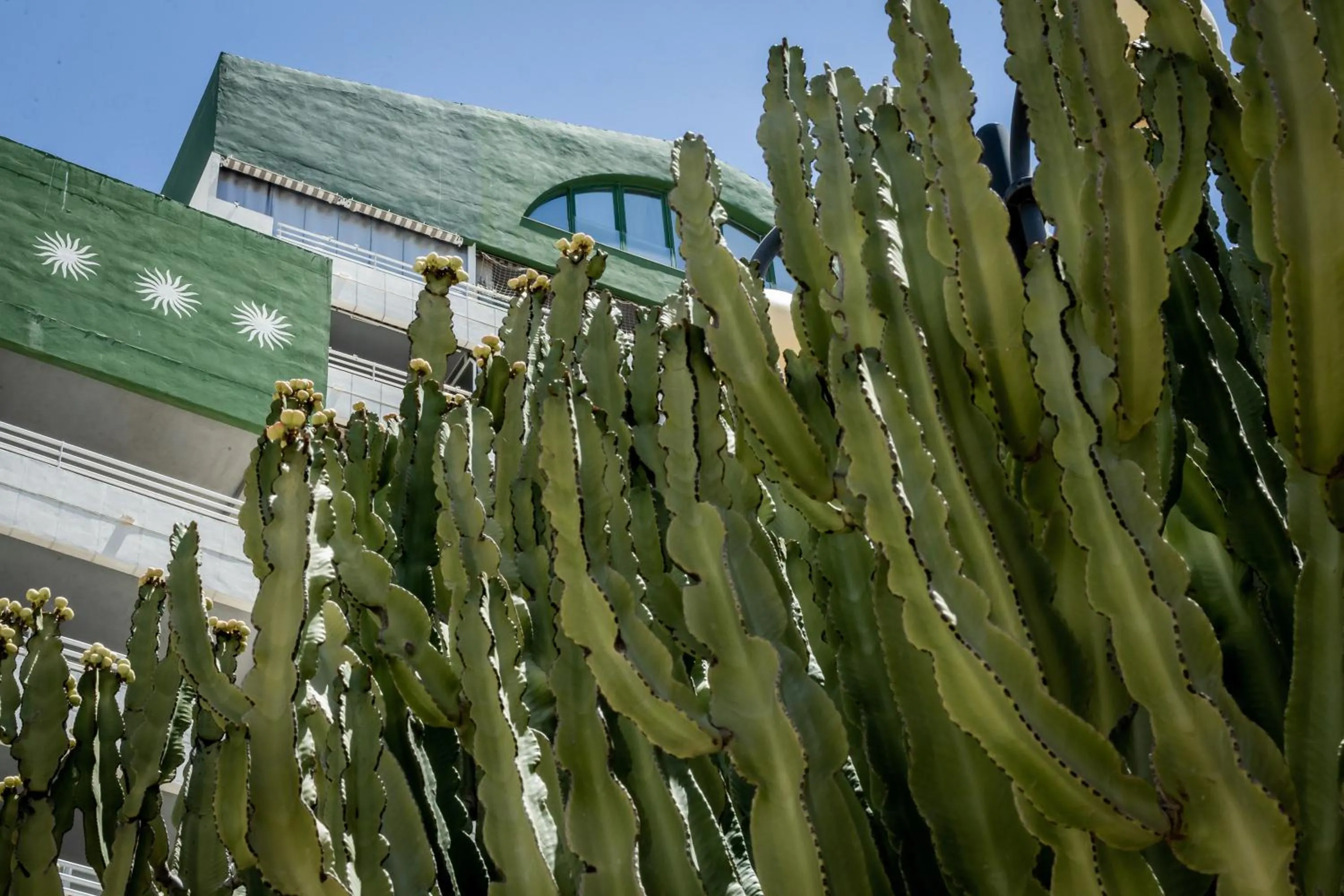Facade/entrance in AR Roca Esmeralda & SPA Hotel
