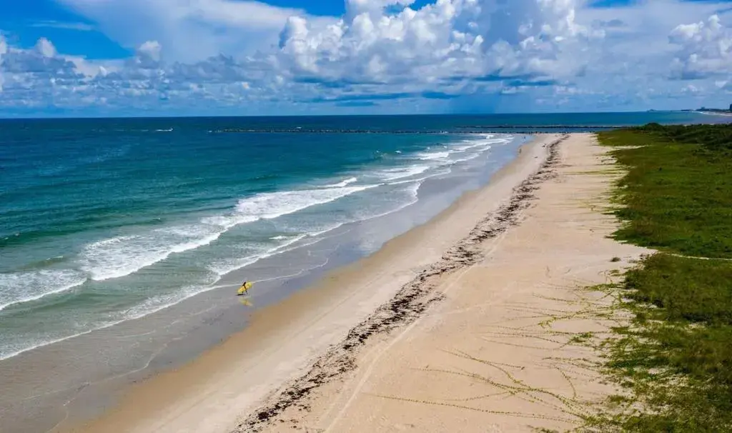 Island-Life! A Island-Life! A