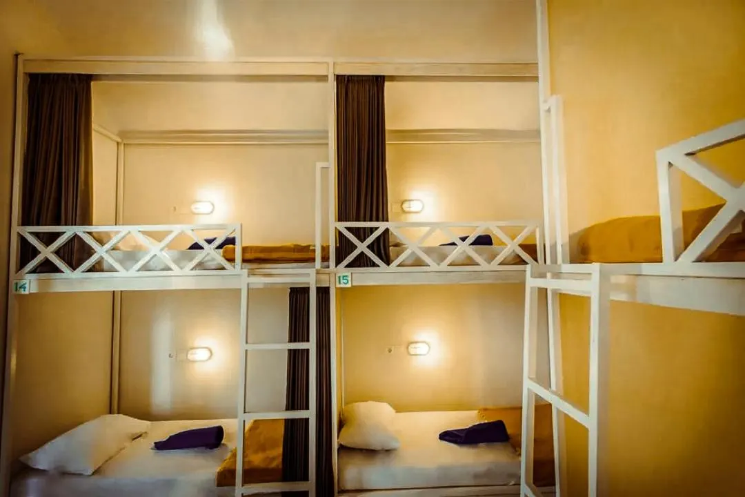 The Commotion Canggu