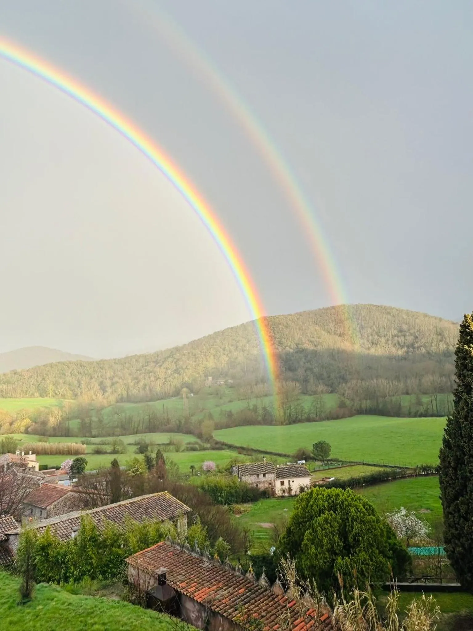 Natural landscape in Hotel Cal Sastre