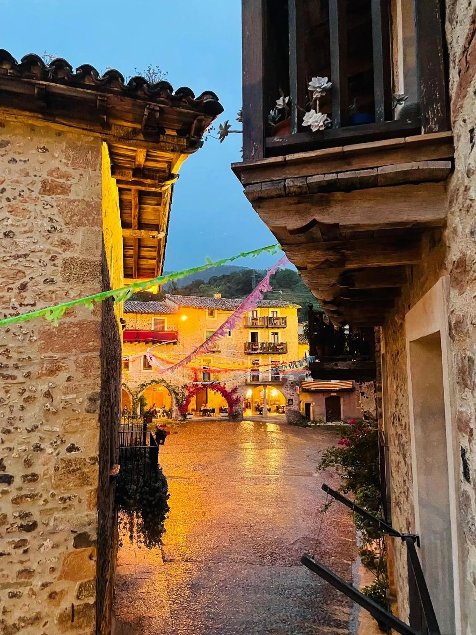 Natural landscape in Hotel Cal Sastre