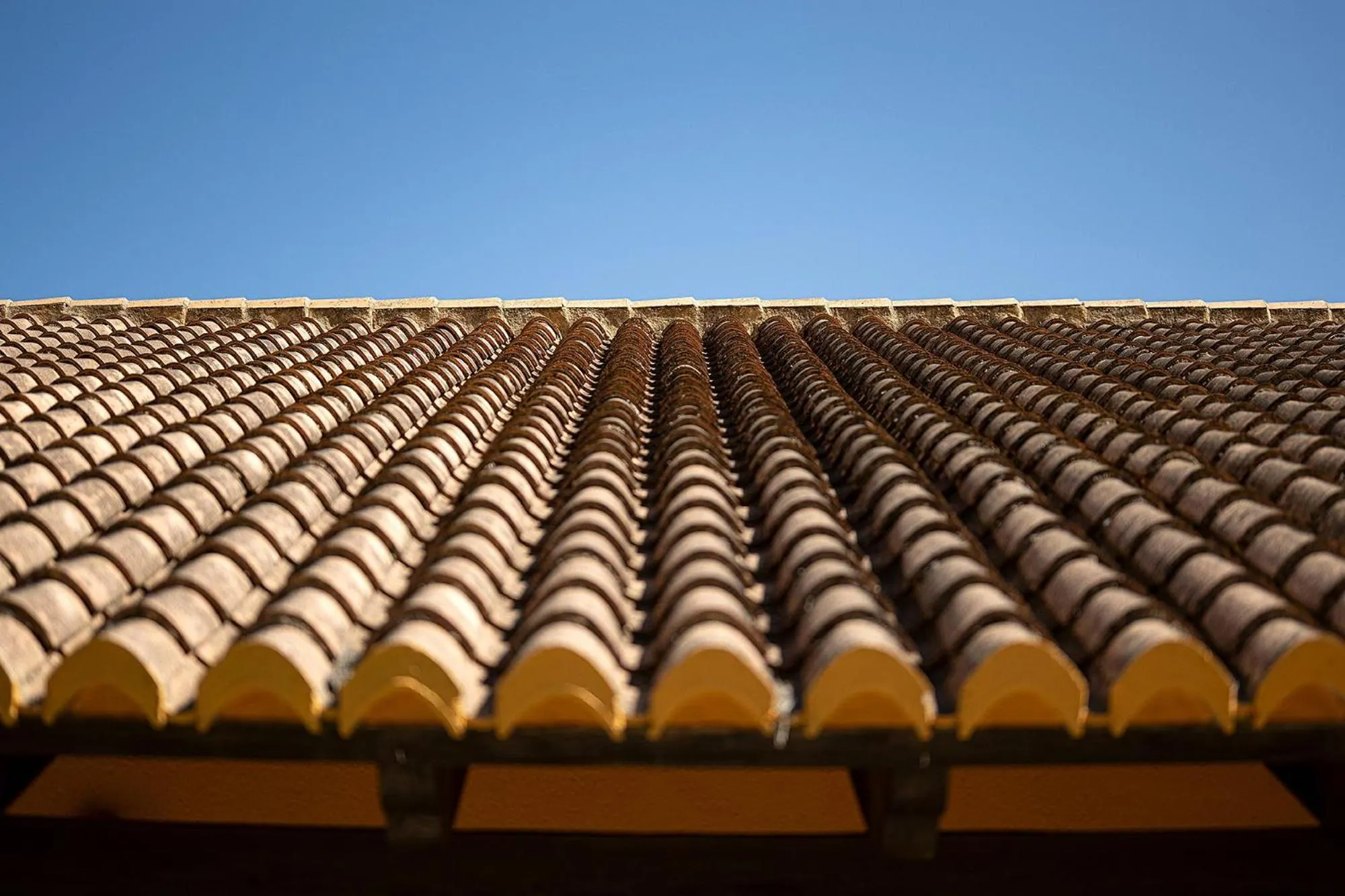 Beach in Hotel Alahuar