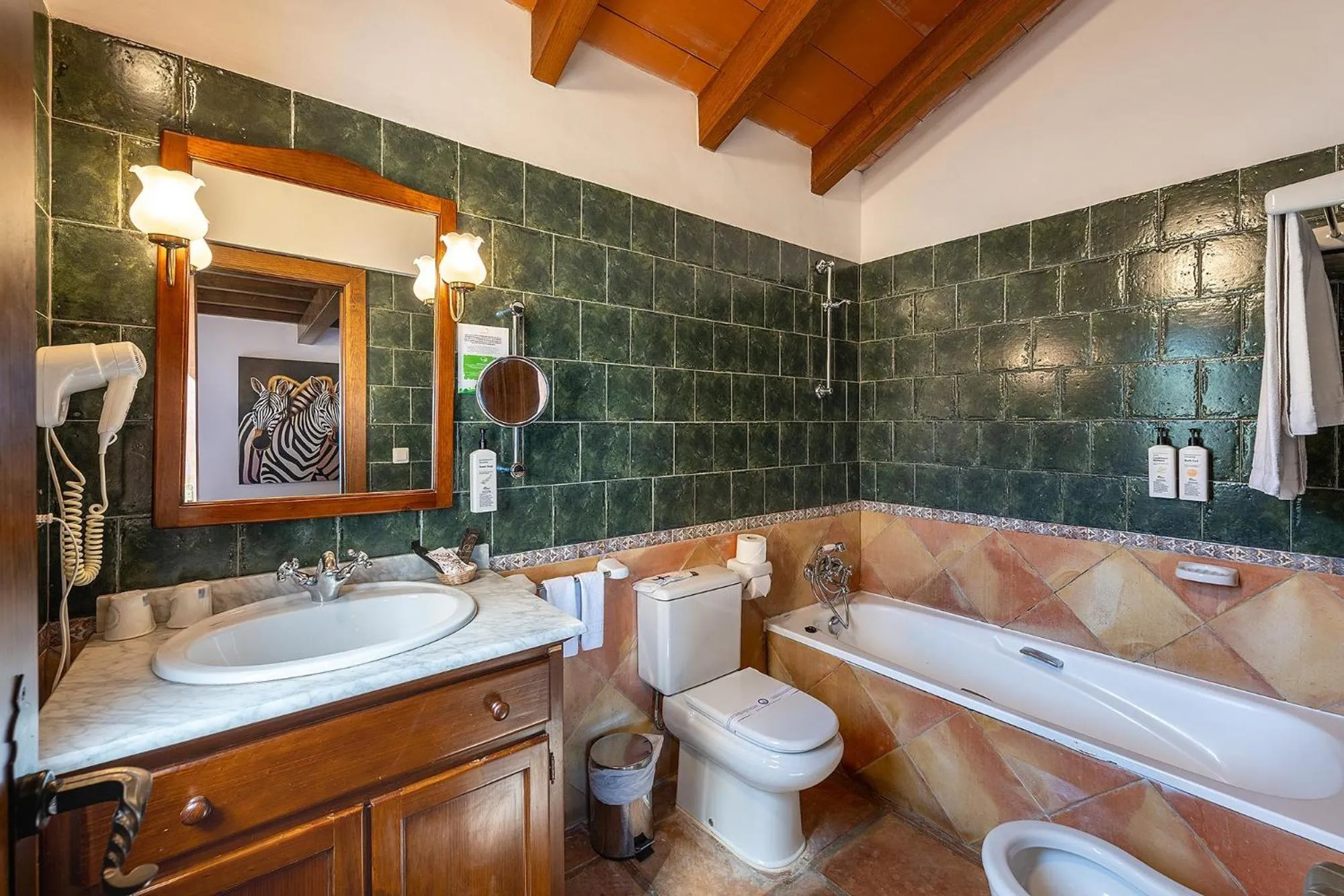 Bathroom in Hotel Alahuar