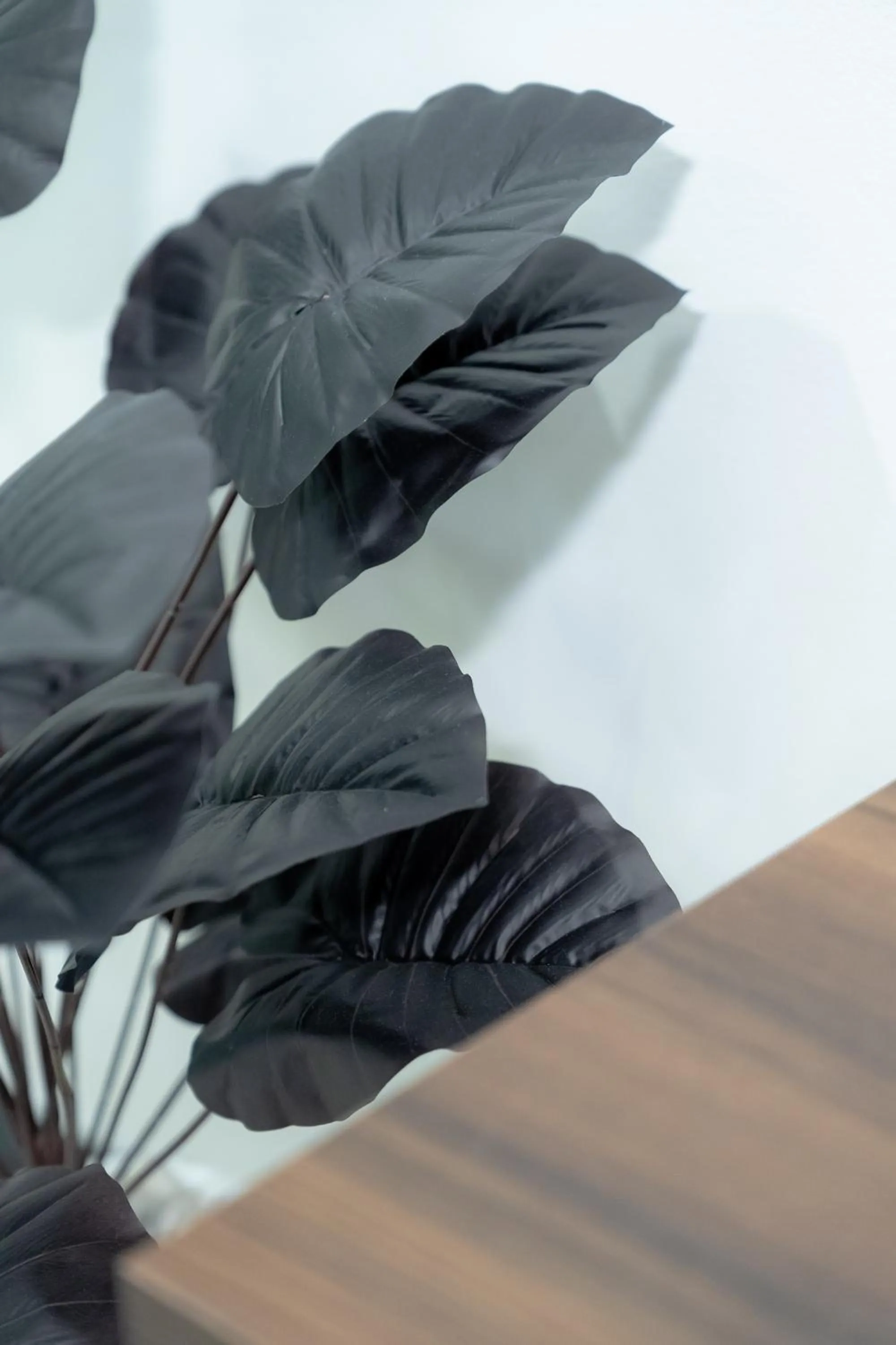 ฺBaan Waru seaview villa