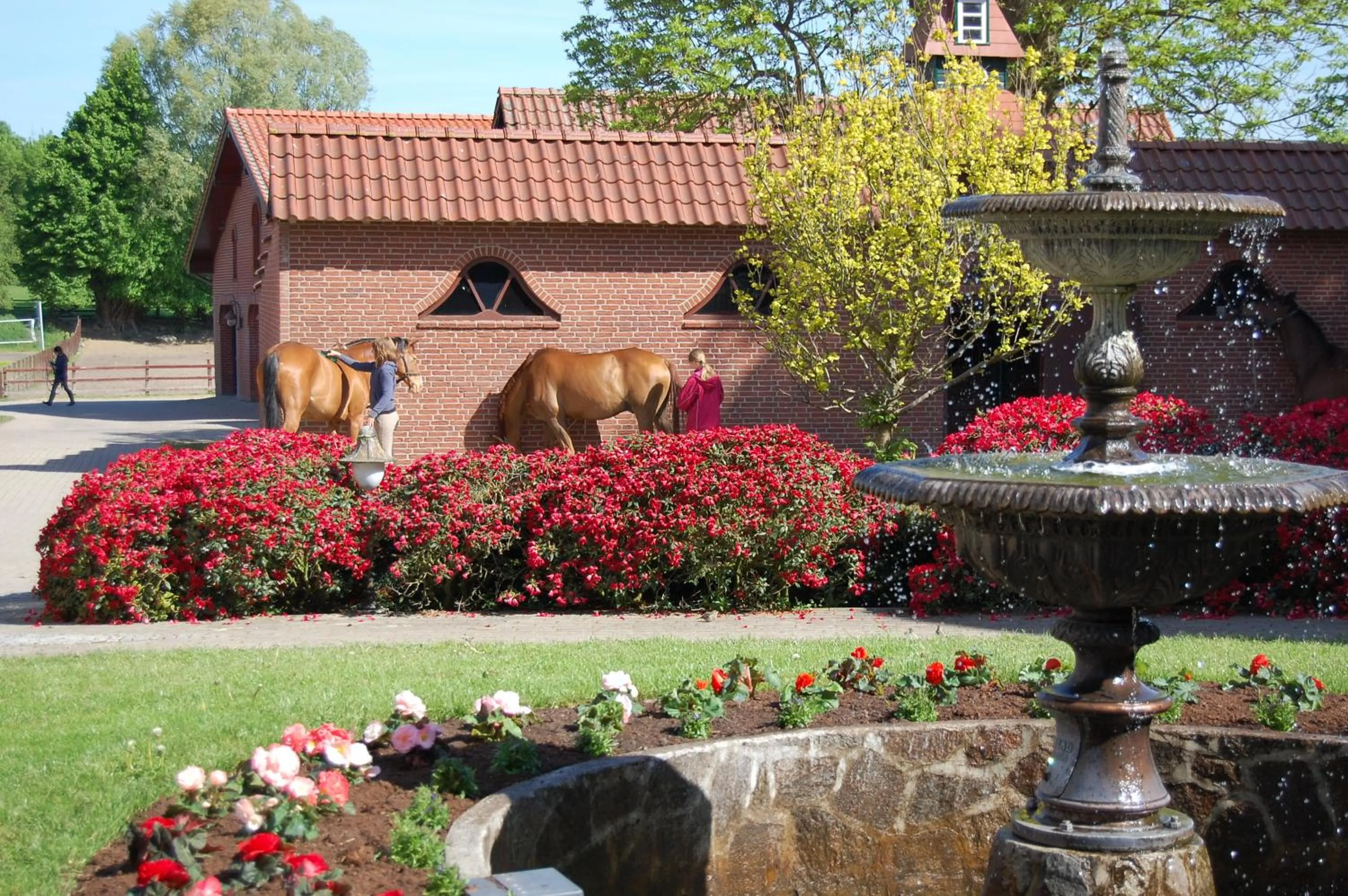 Patio in Hotel Hof Kirchhorst