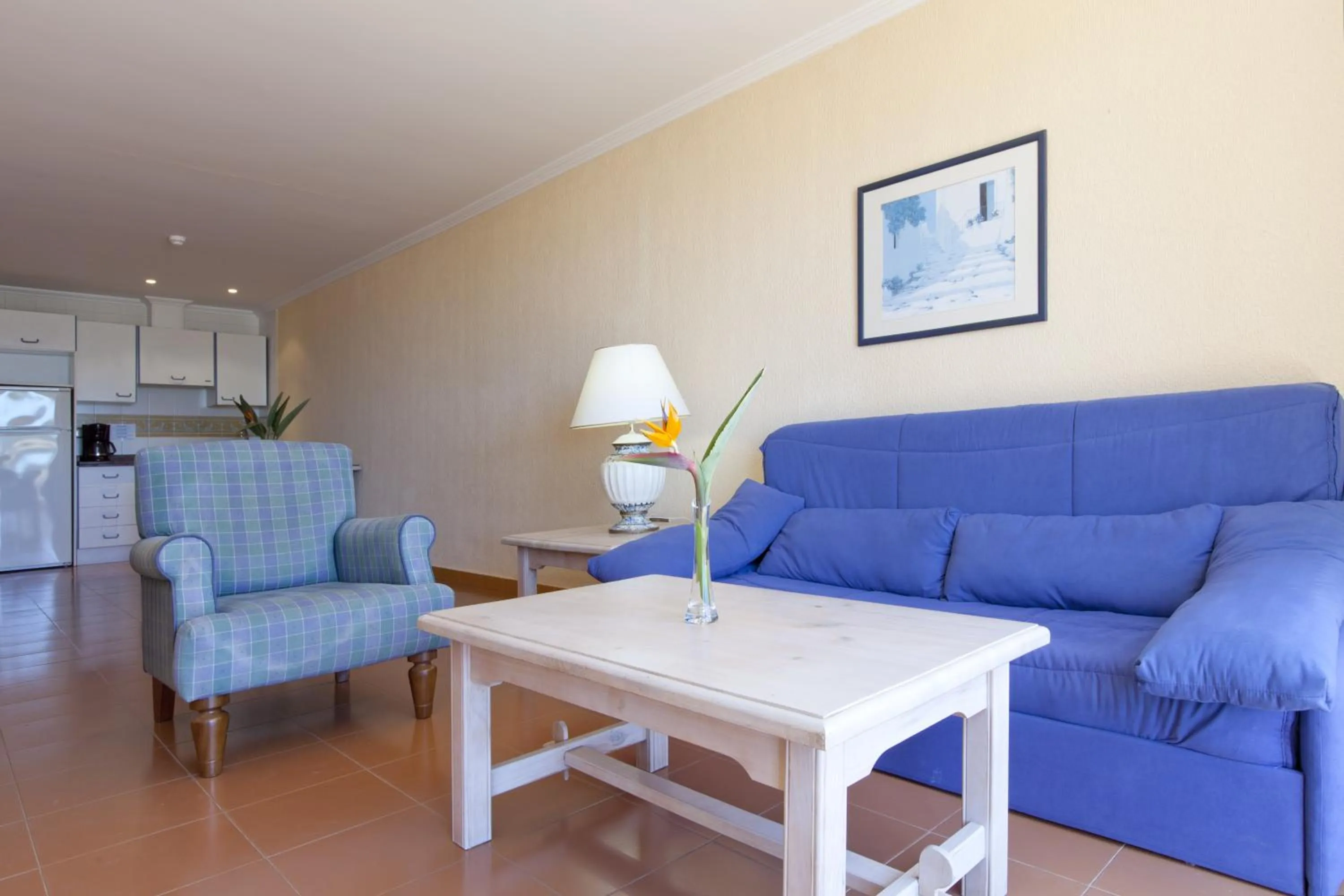 TV and multimedia in Playavera