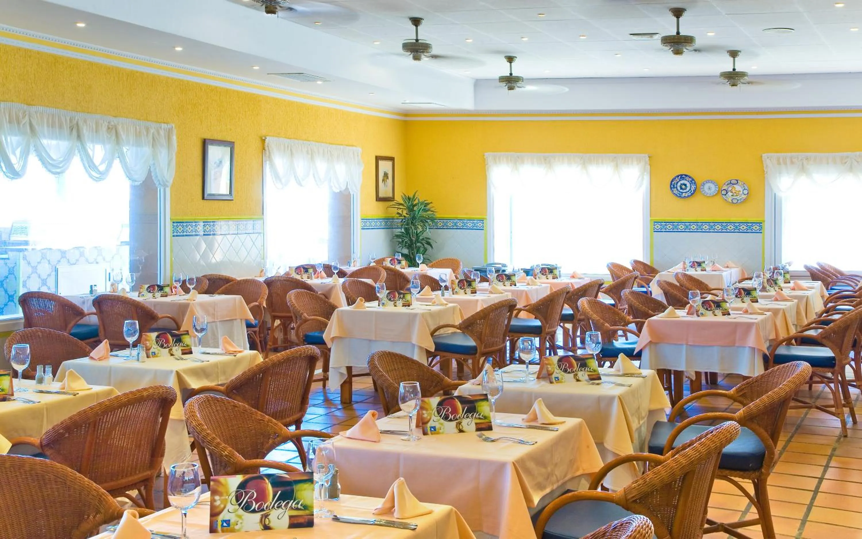 Restaurant/places to eat in Playavera