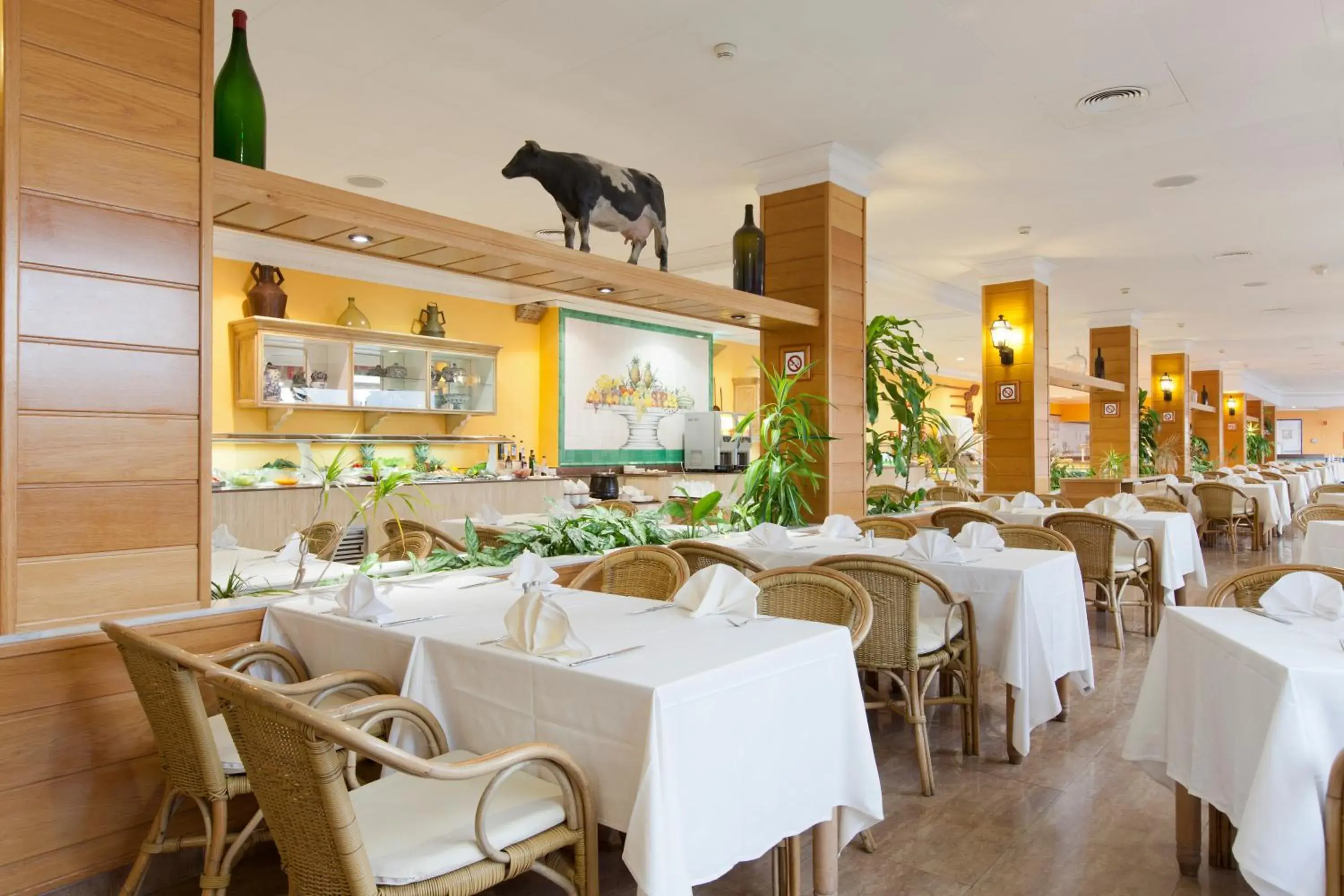 Restaurant/places to eat in Mirador del Cabo Designed For Adults Restaurant/places to eat in Mirador del Cabo Designed For Adults