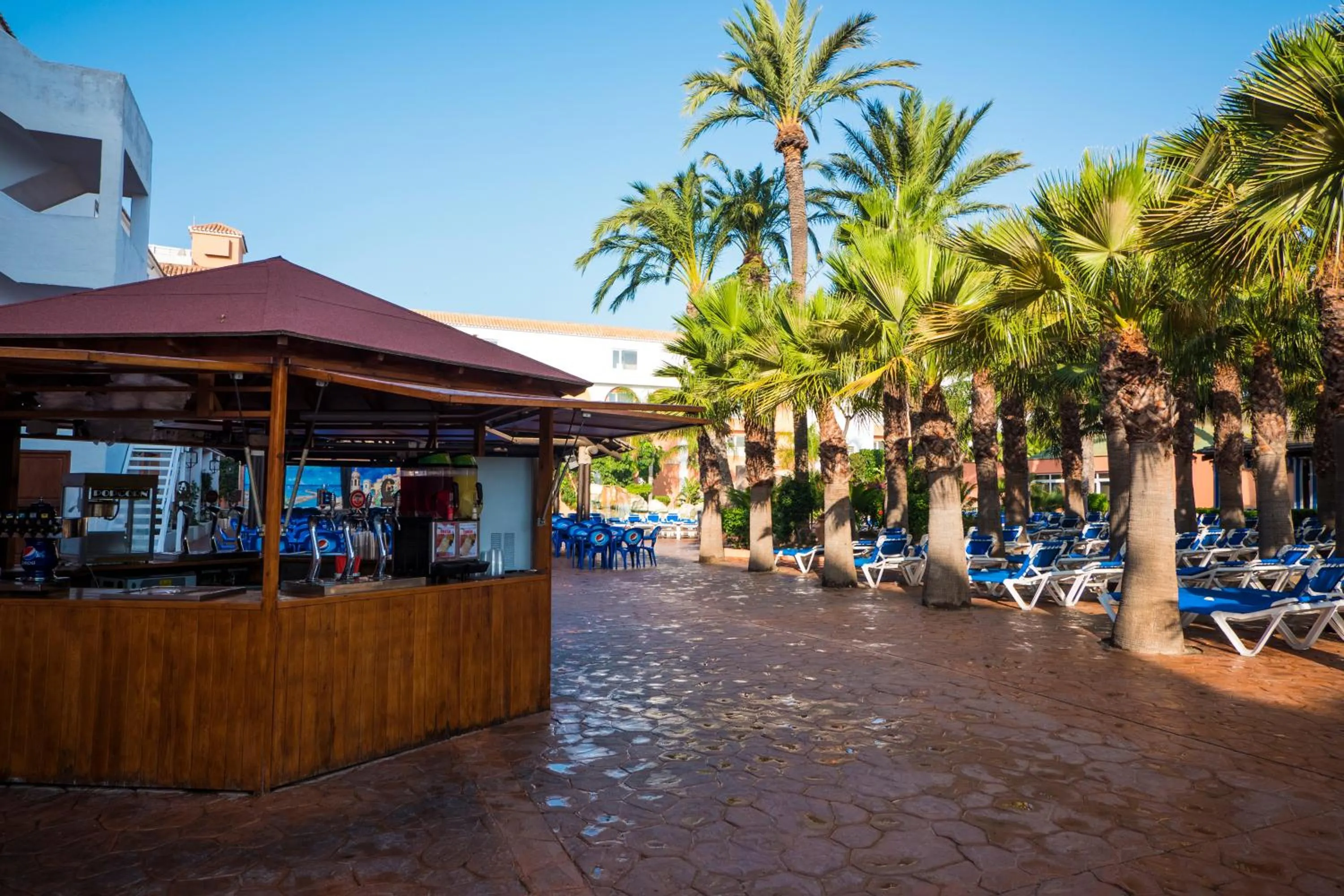 Swimming pool in Diver Roquetas