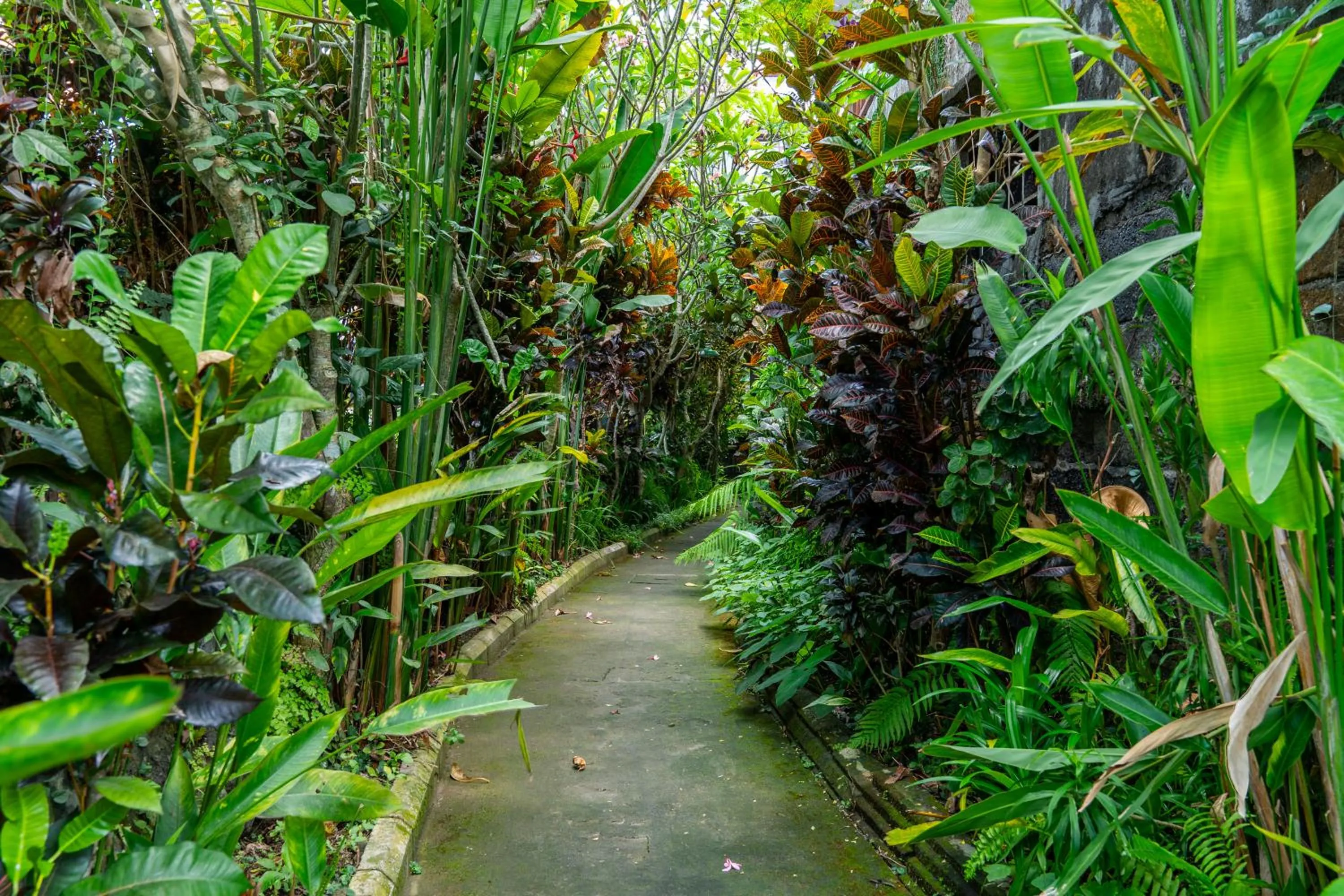 View (from property/room) in Kausala Bisma Ubud