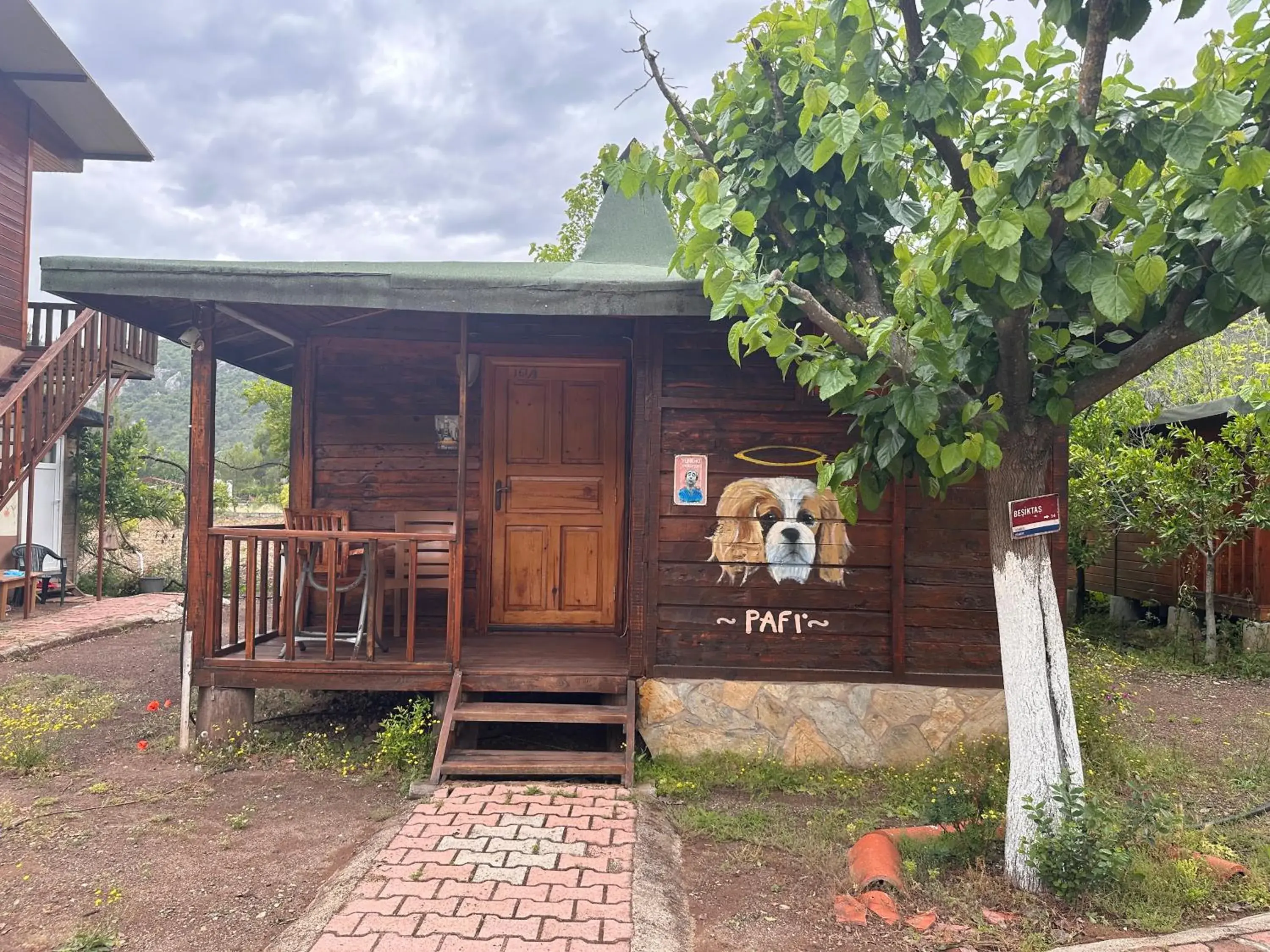 Photo of the whole room in Likya Yanartaş Bungalow Photo of the whole room in Likya Yanartaş Bungalow