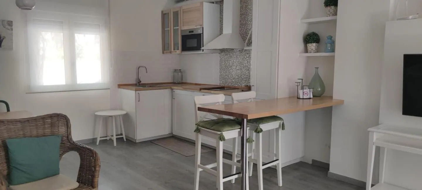 Kitchen or kitchenette in MR Hotelet de la Raconà & Apartments