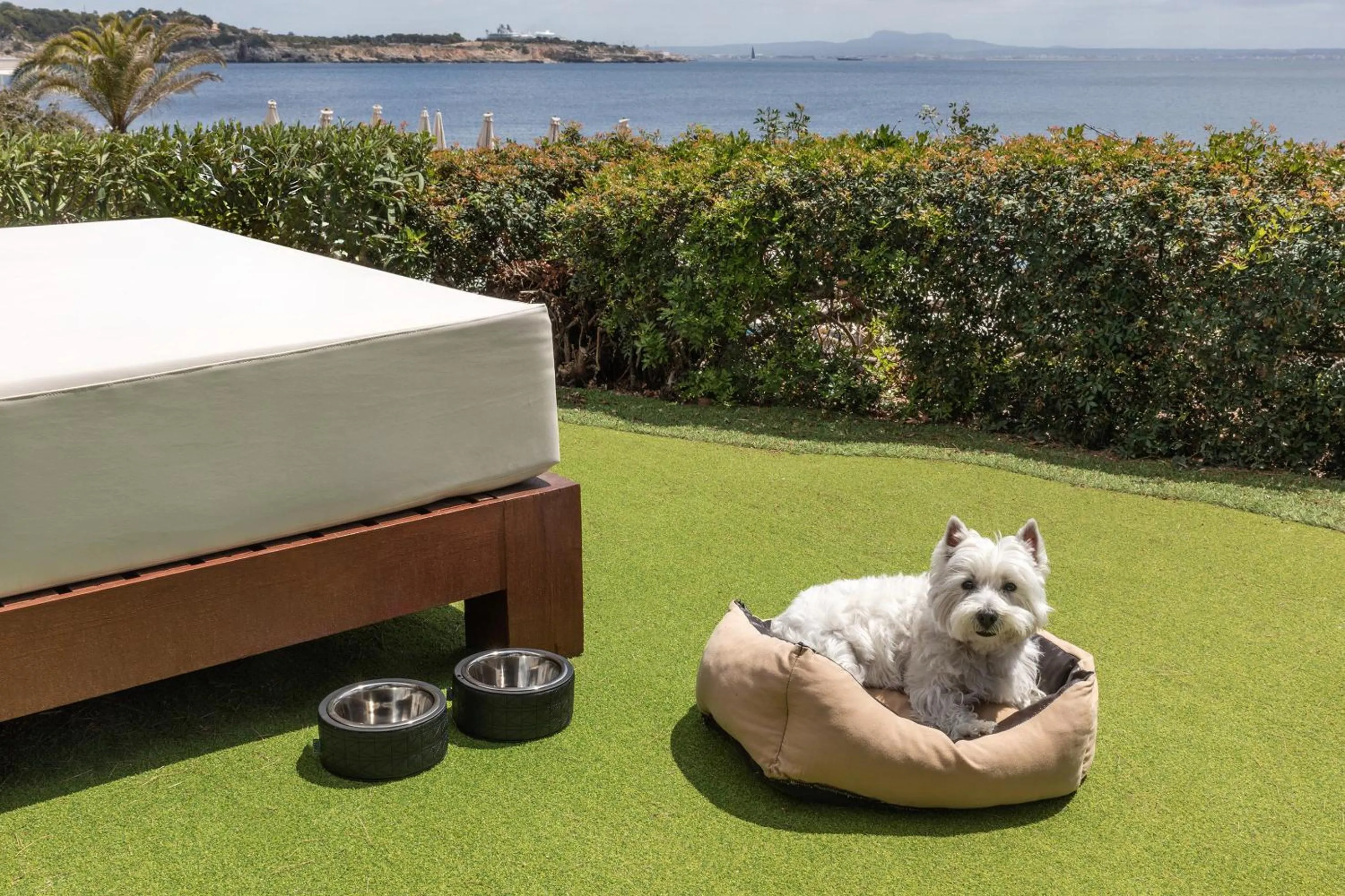 Other in Hotel de Mar Gran Meliá - Adults Only - The Leading Hotels of the World