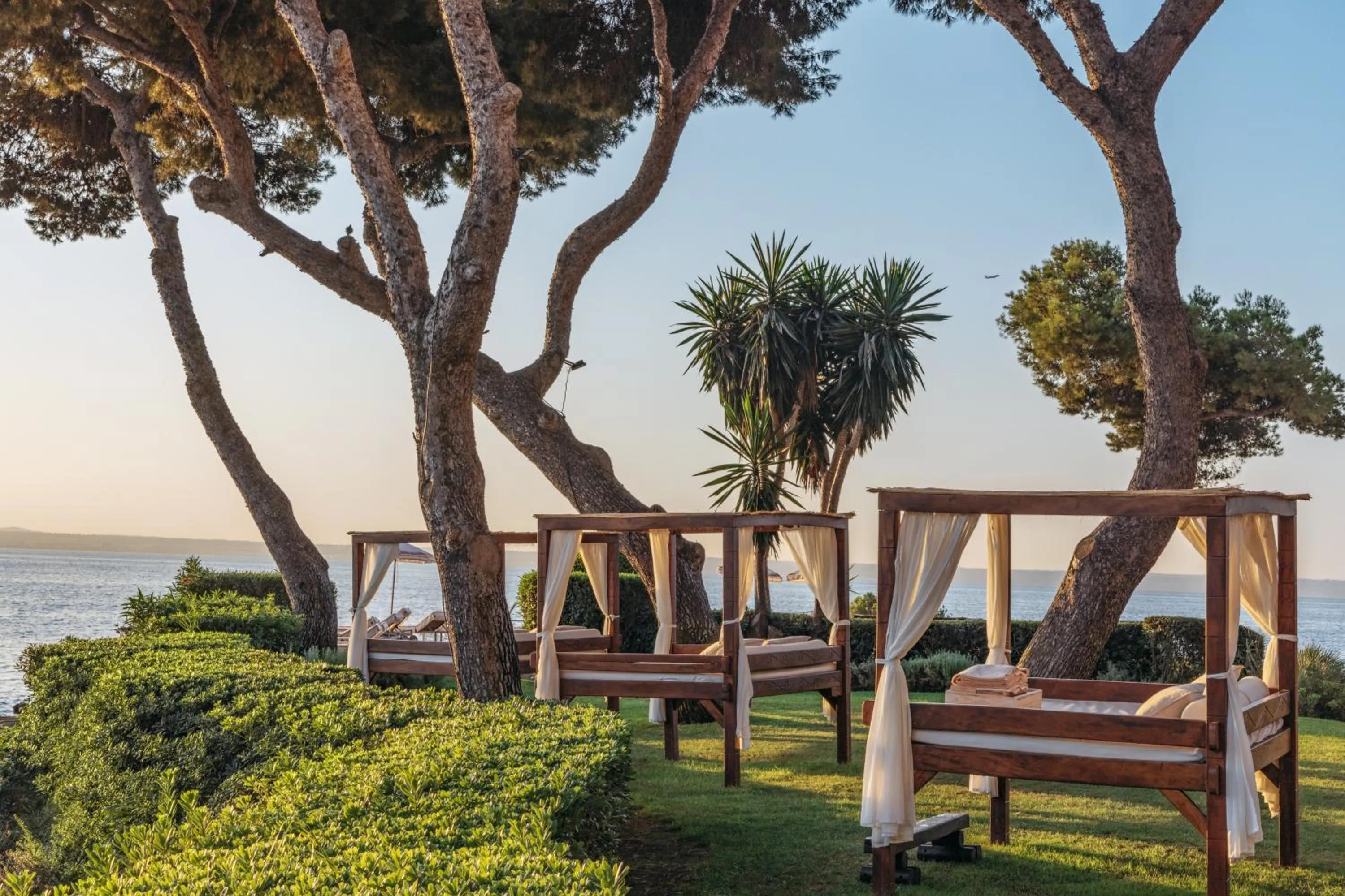 Garden in Hotel de Mar Gran Meliá - Adults Only - The Leading Hotels of the World