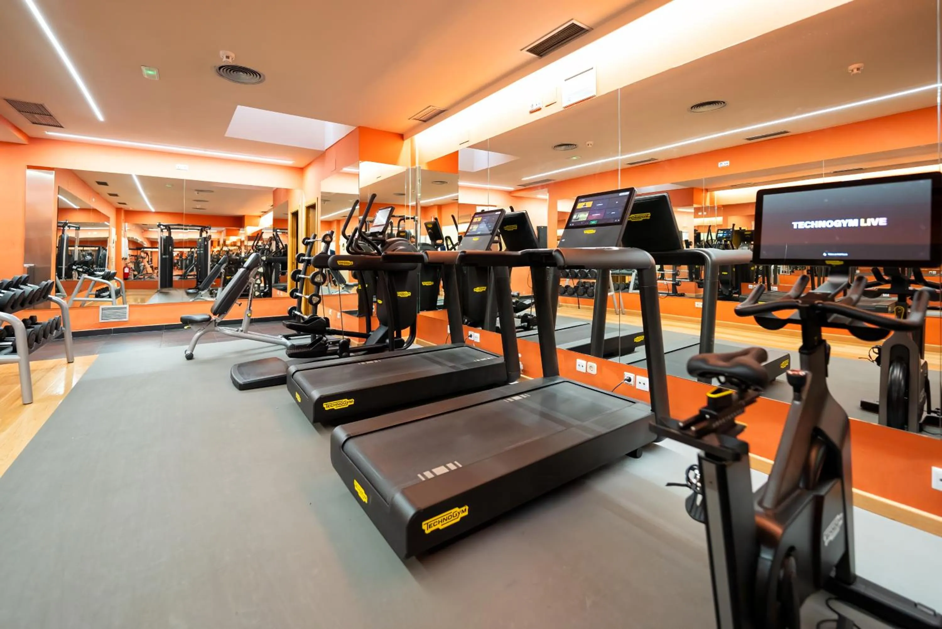 Fitness centre/facilities in Hotel Villamadrid
