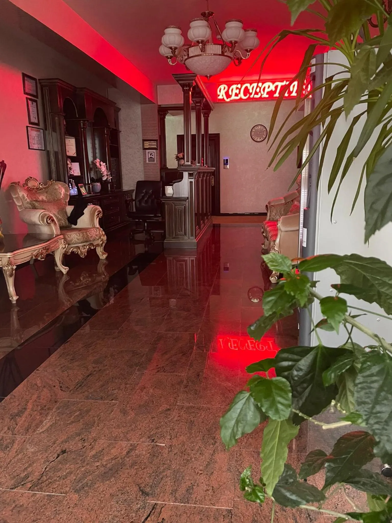 Hotel Bacsoridana