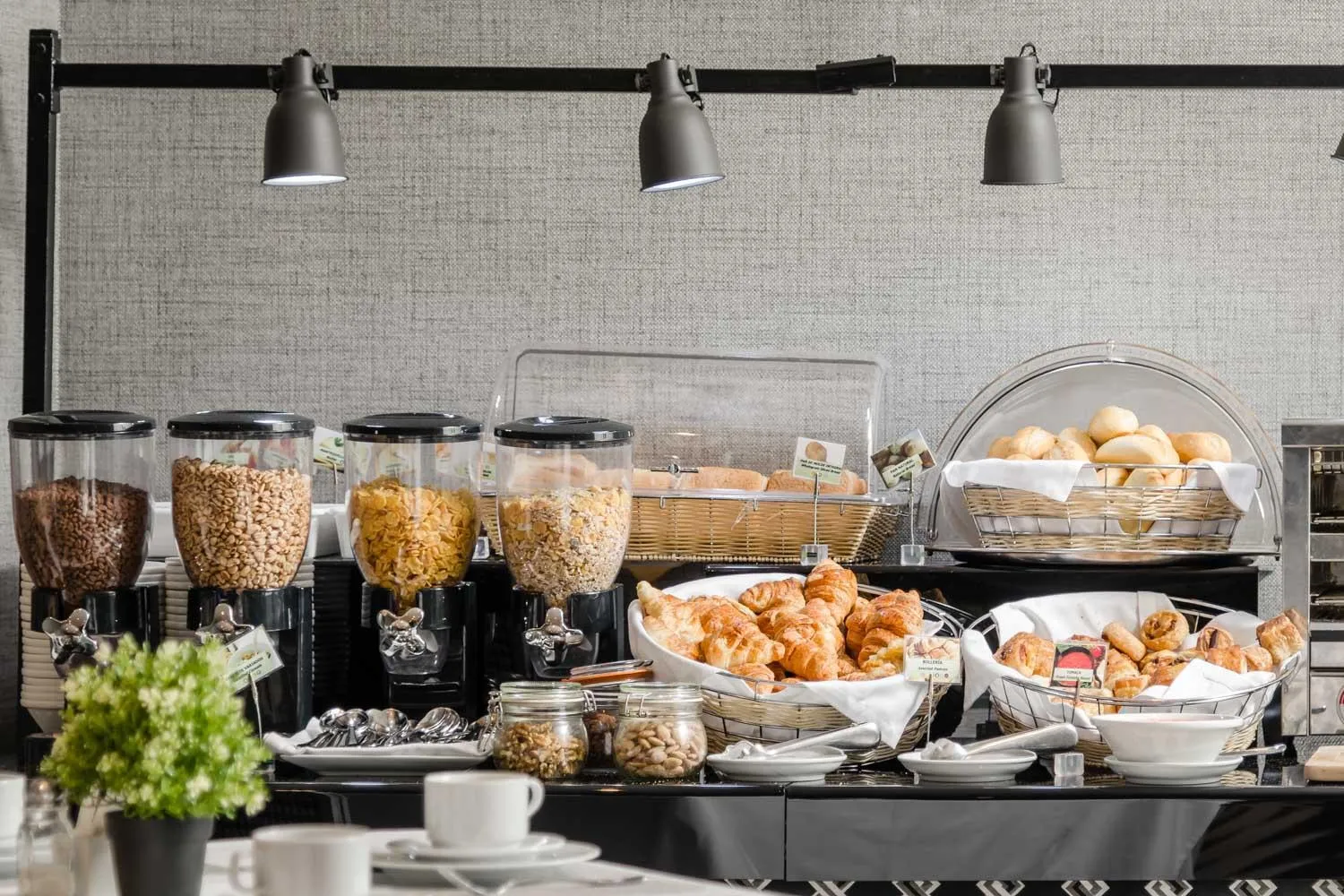 Area and facilities in Hotel Asset Torrejón