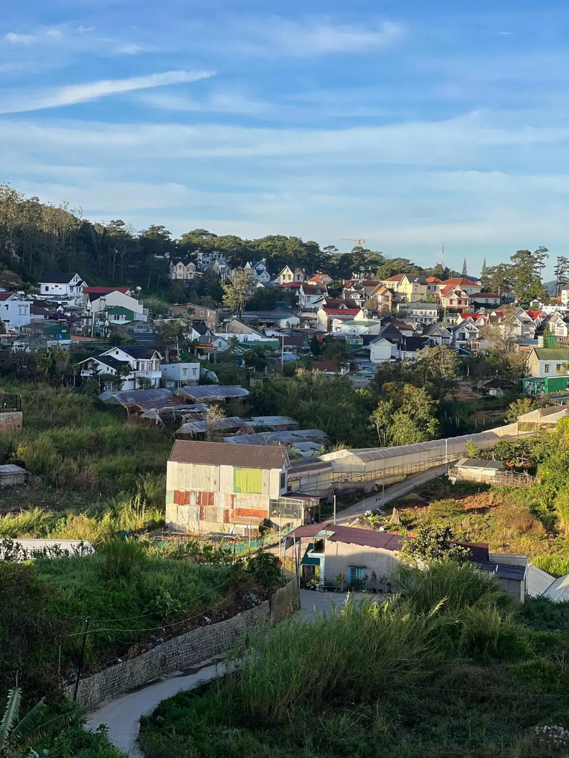View (from property/room) in Adela Hotel Dalat View (from property/room) in Adela Hotel Dalat