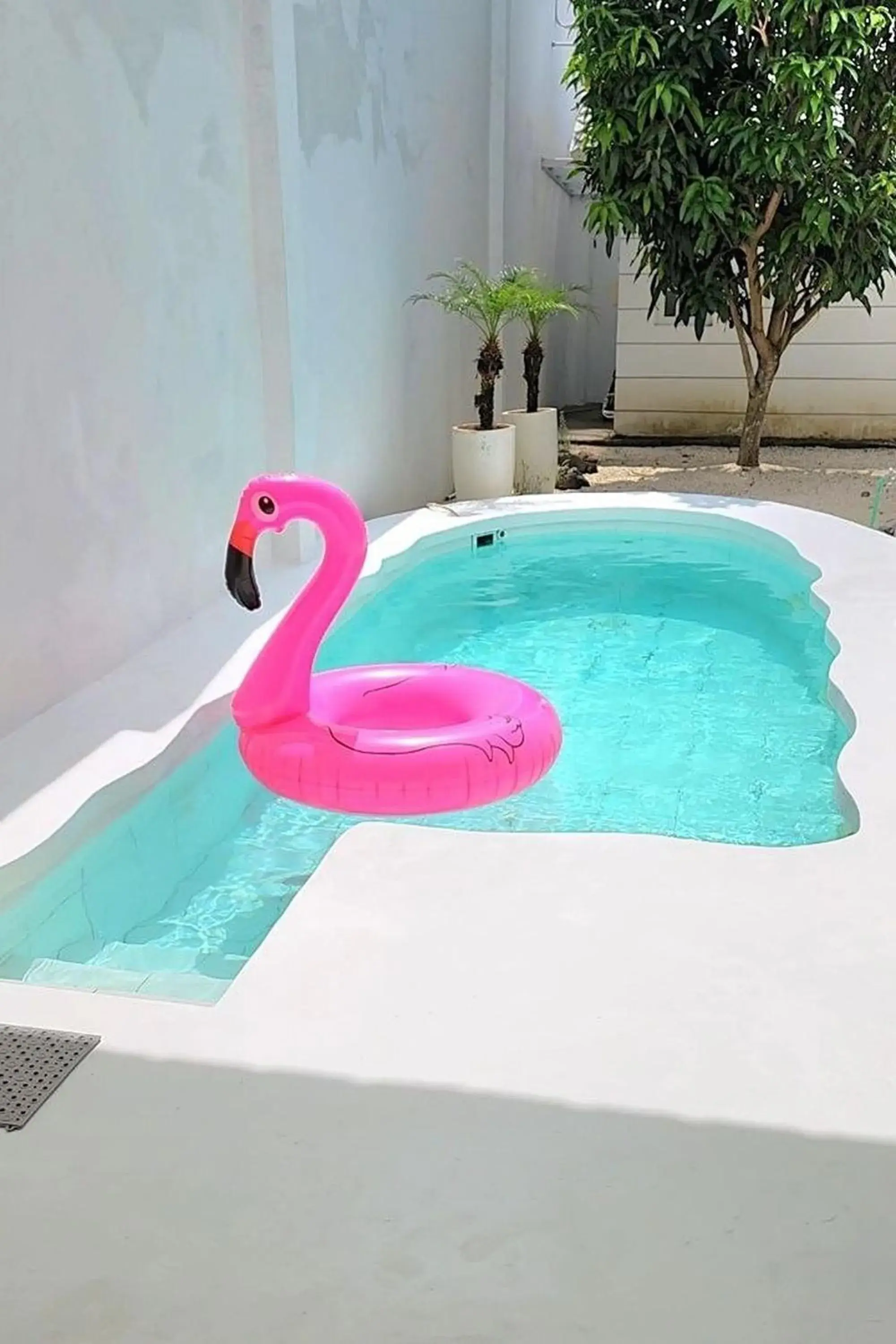 Swimming pool in Floraison Living Villa Yogyakarta Swimming pool in Floraison Living Villa Yogyakarta