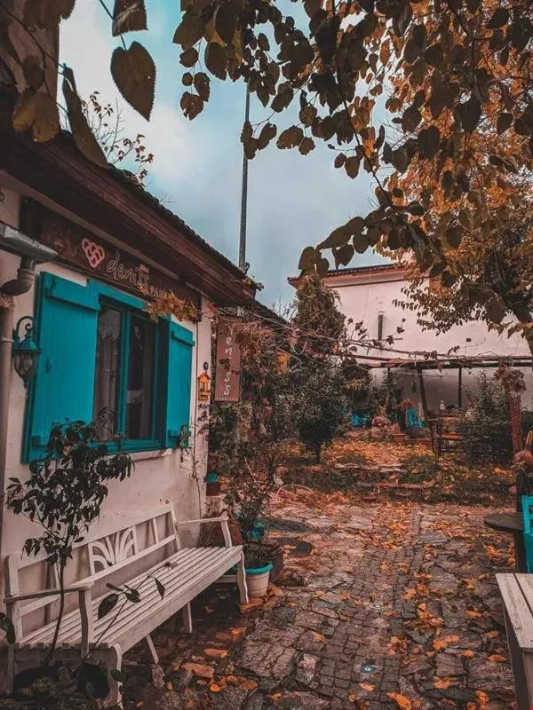 Garden in Deniss Pension