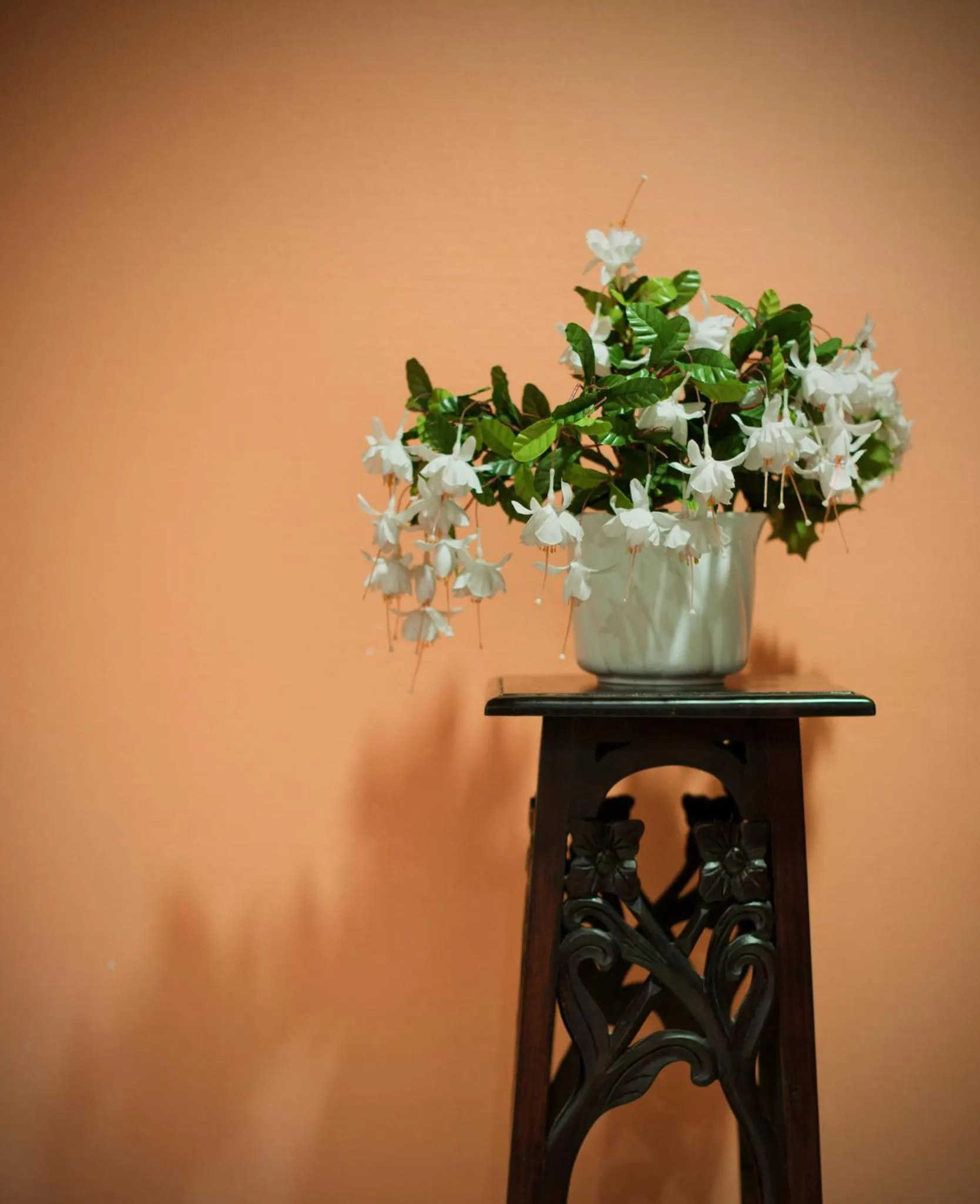 Decorative detail in Hotel Martin