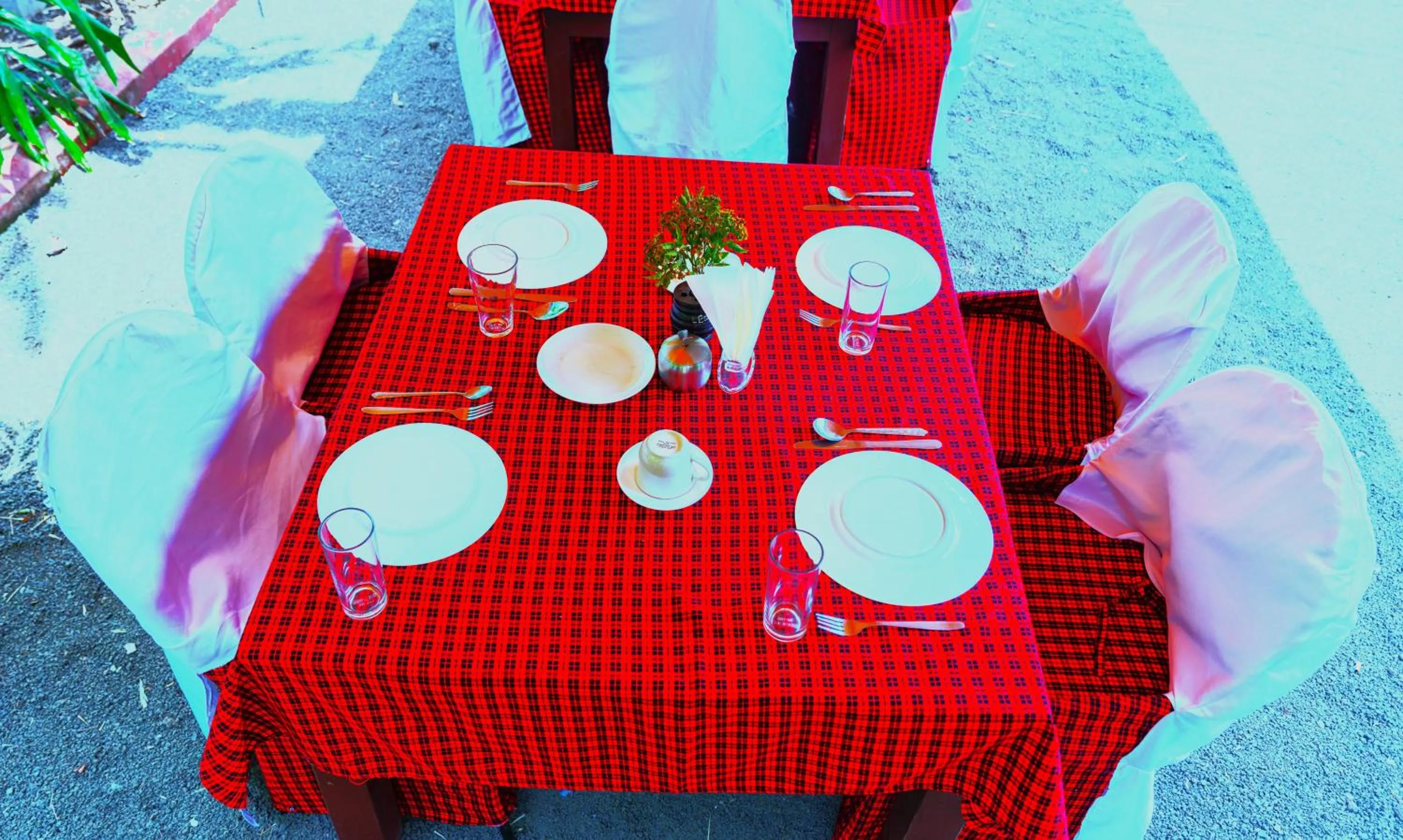 Day in Safari Park House