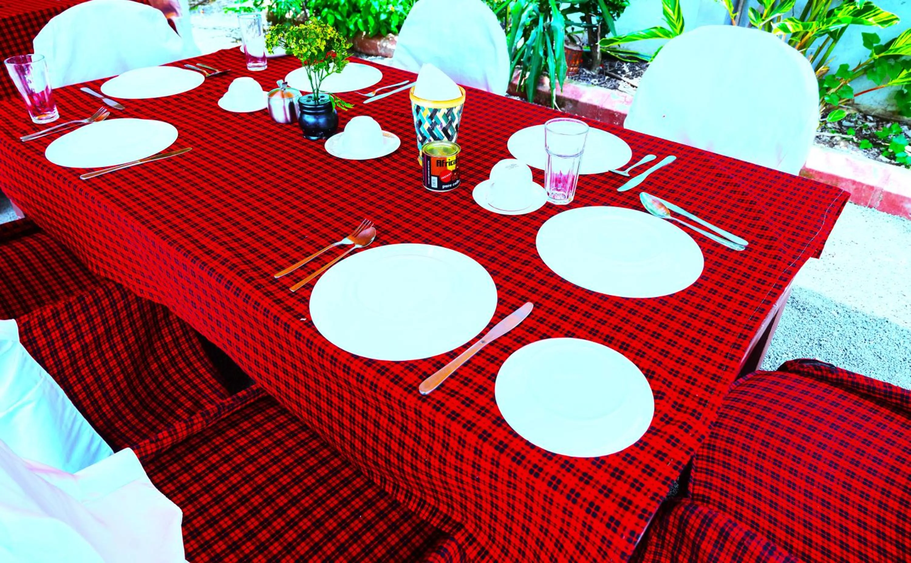 Food and drinks in Safari Park House