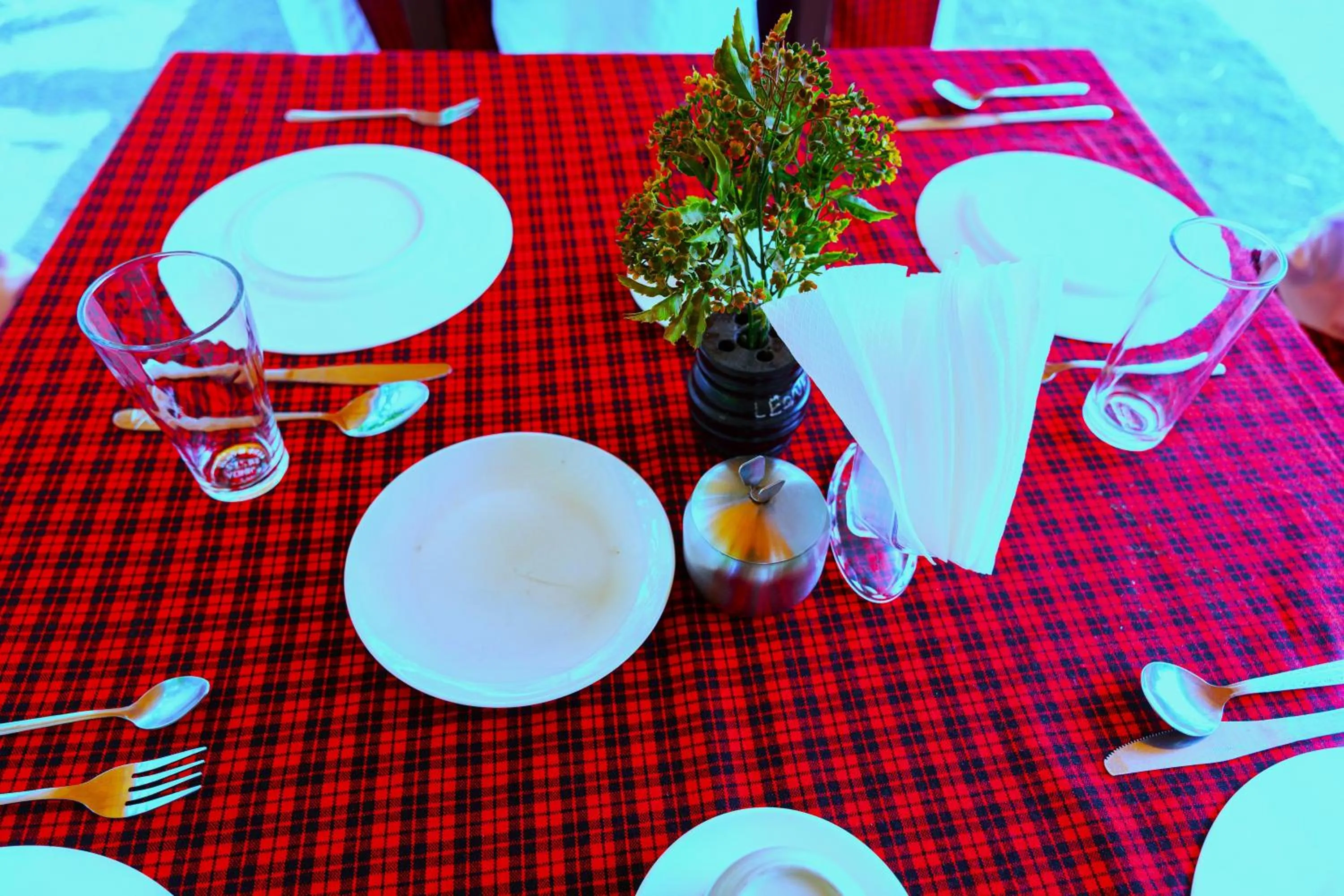 Food and drinks in Safari Park House