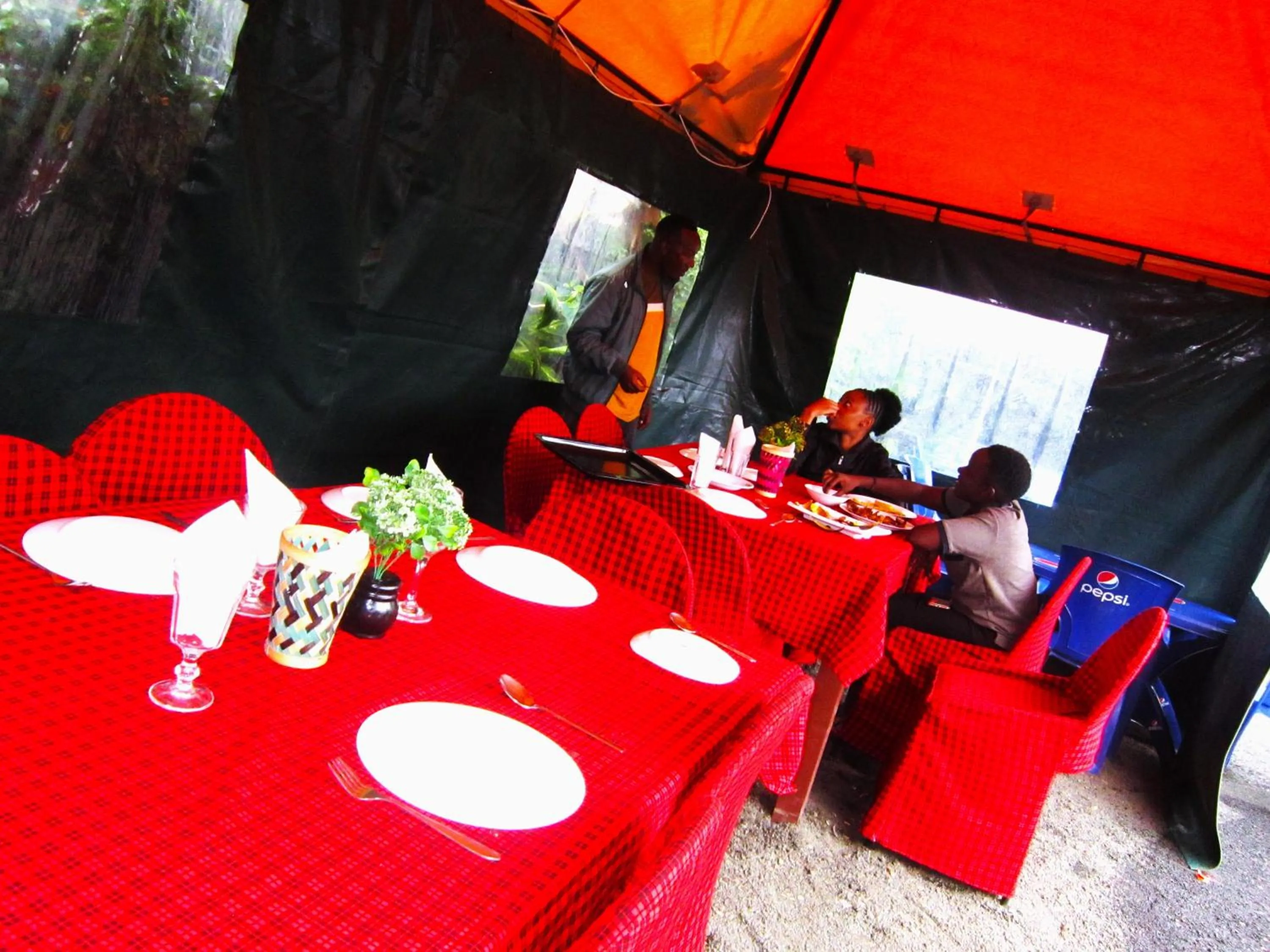 Restaurant/places to eat in Safari Park House