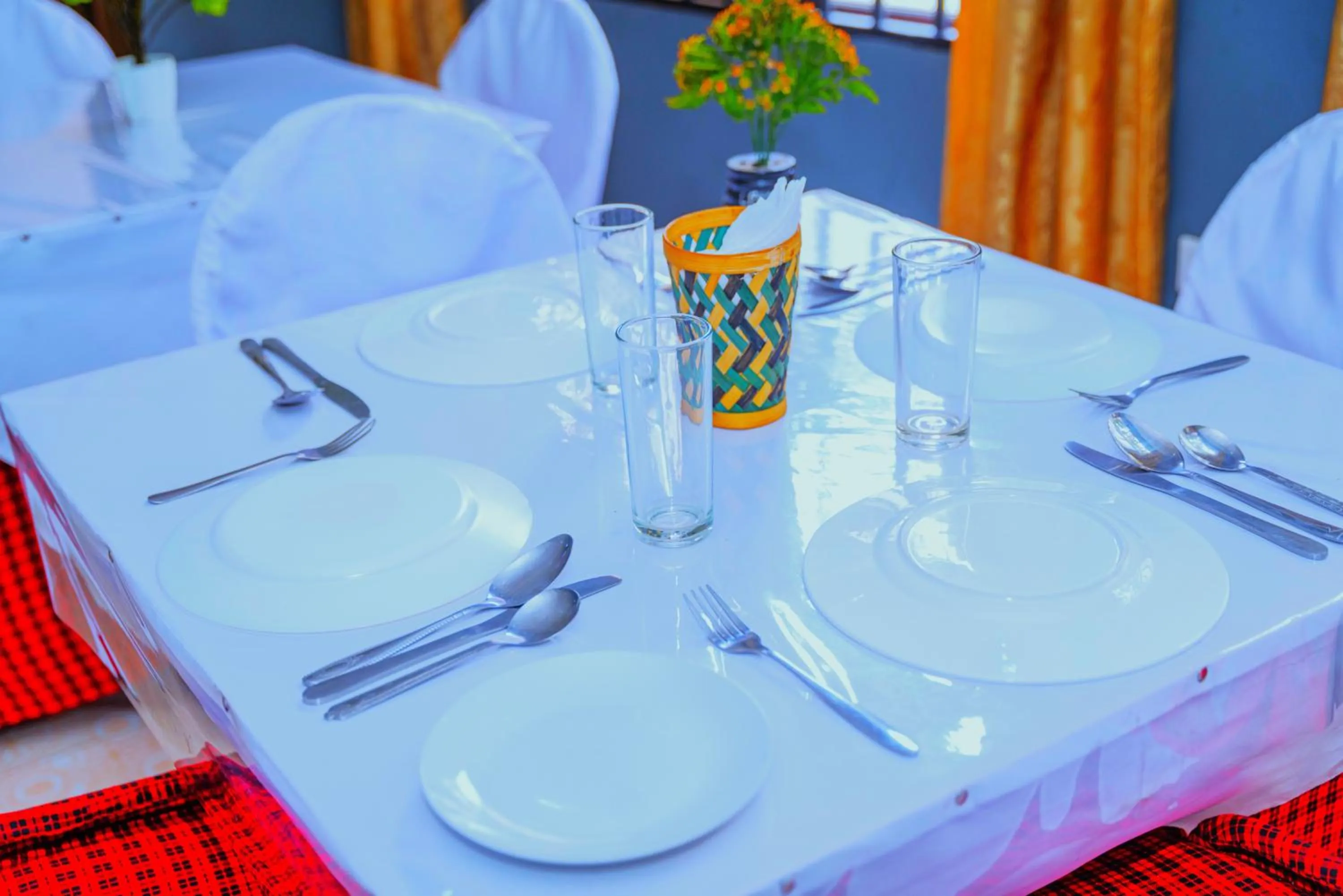 Food and drinks in Safari Park House