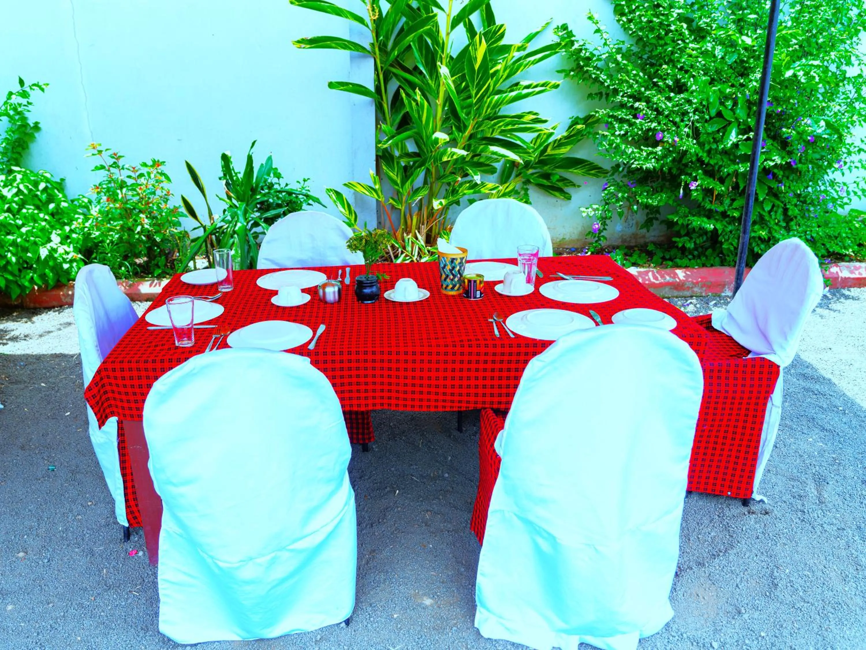 Day in Safari Park House