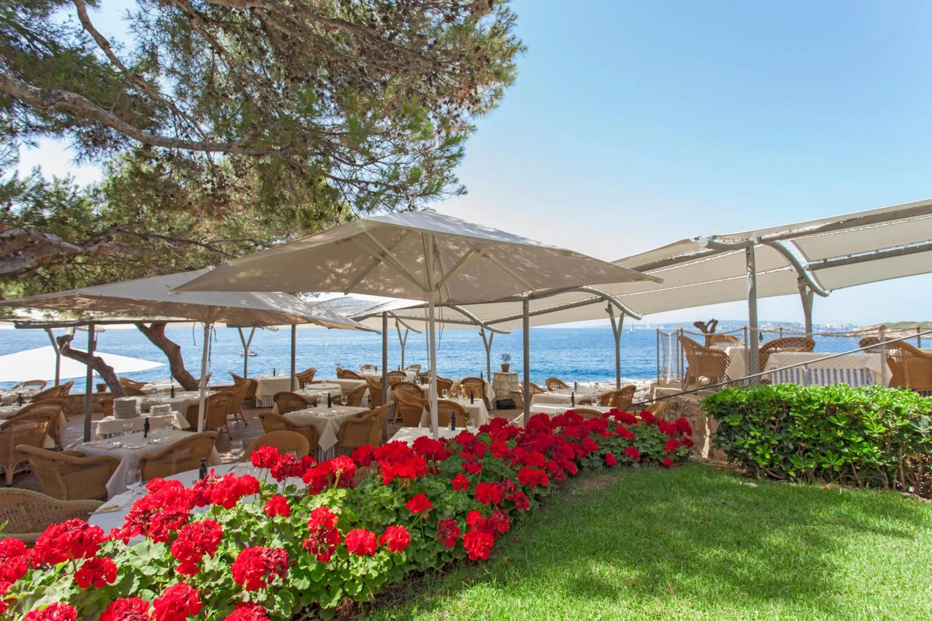 Restaurant/places to eat in Hotel Bendinat