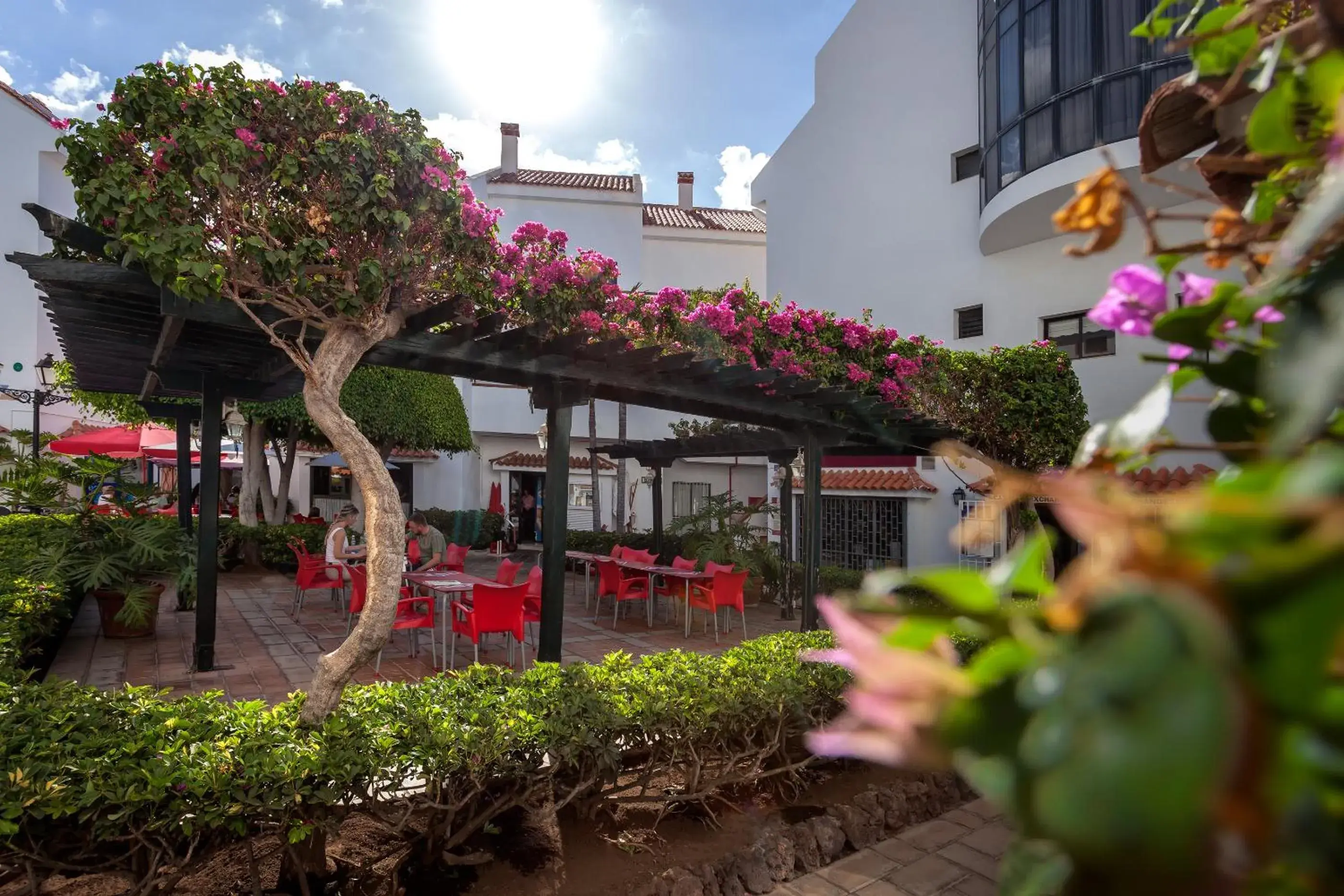 Food and drinks in Apartamentos HG Cristian Sur Food and drinks in Apartamentos HG Cristian Sur