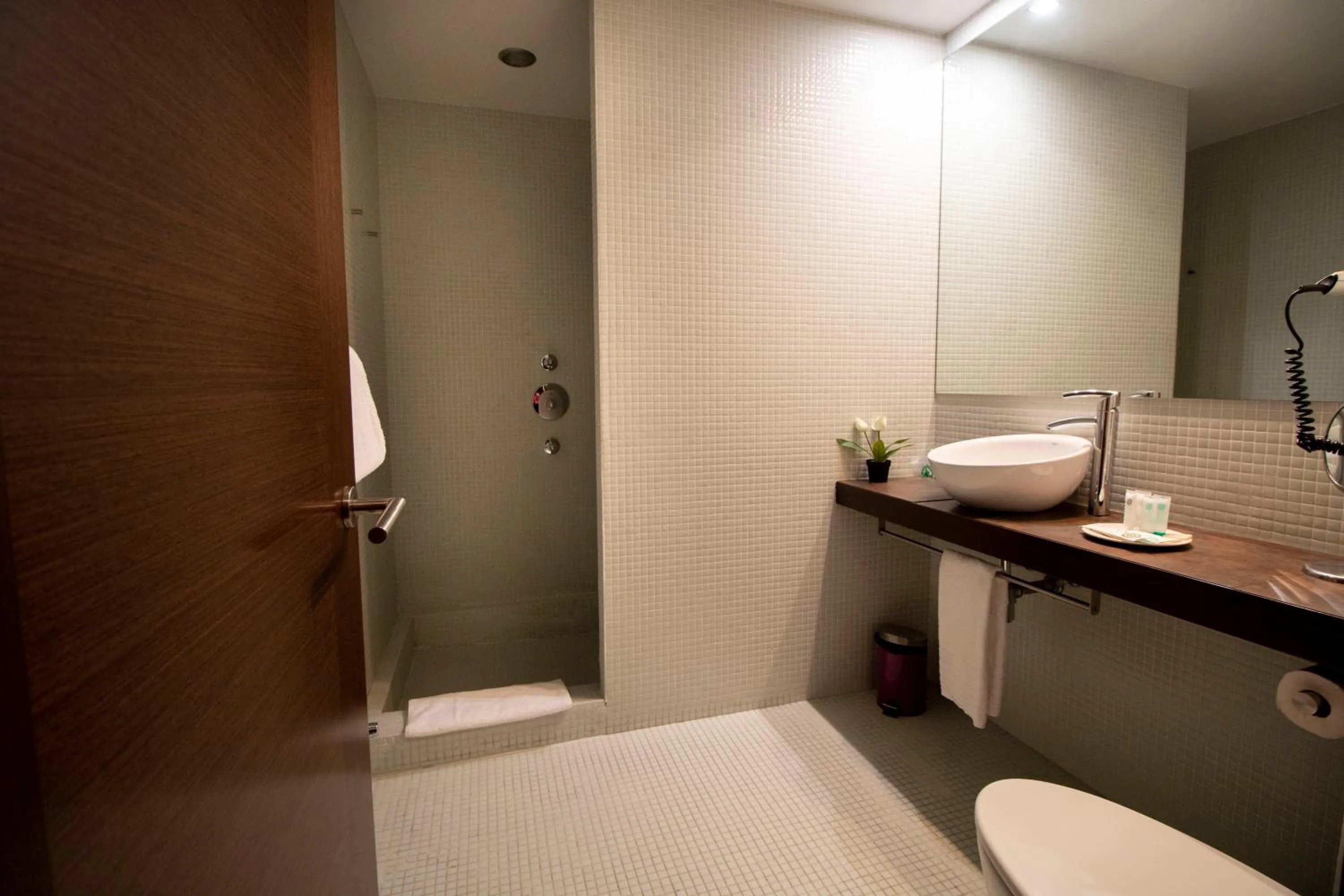 Bathroom in Hotel La Joyosa Guarda