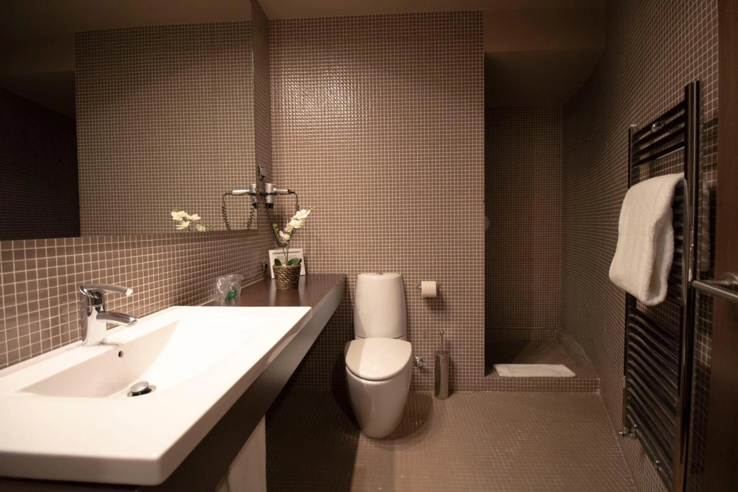 Bathroom in Hotel La Joyosa Guarda