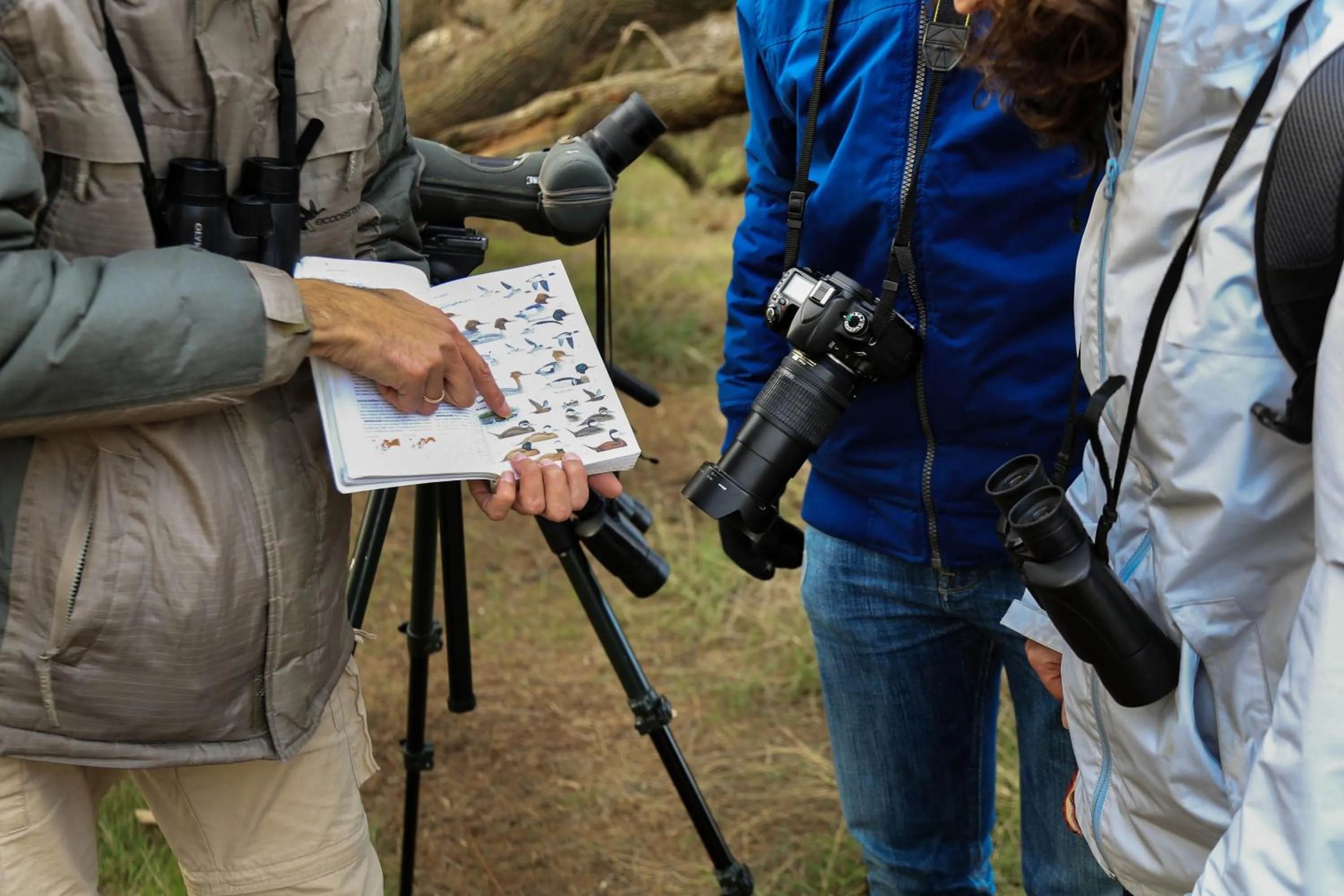 Activities in Hotel Doña Manuela