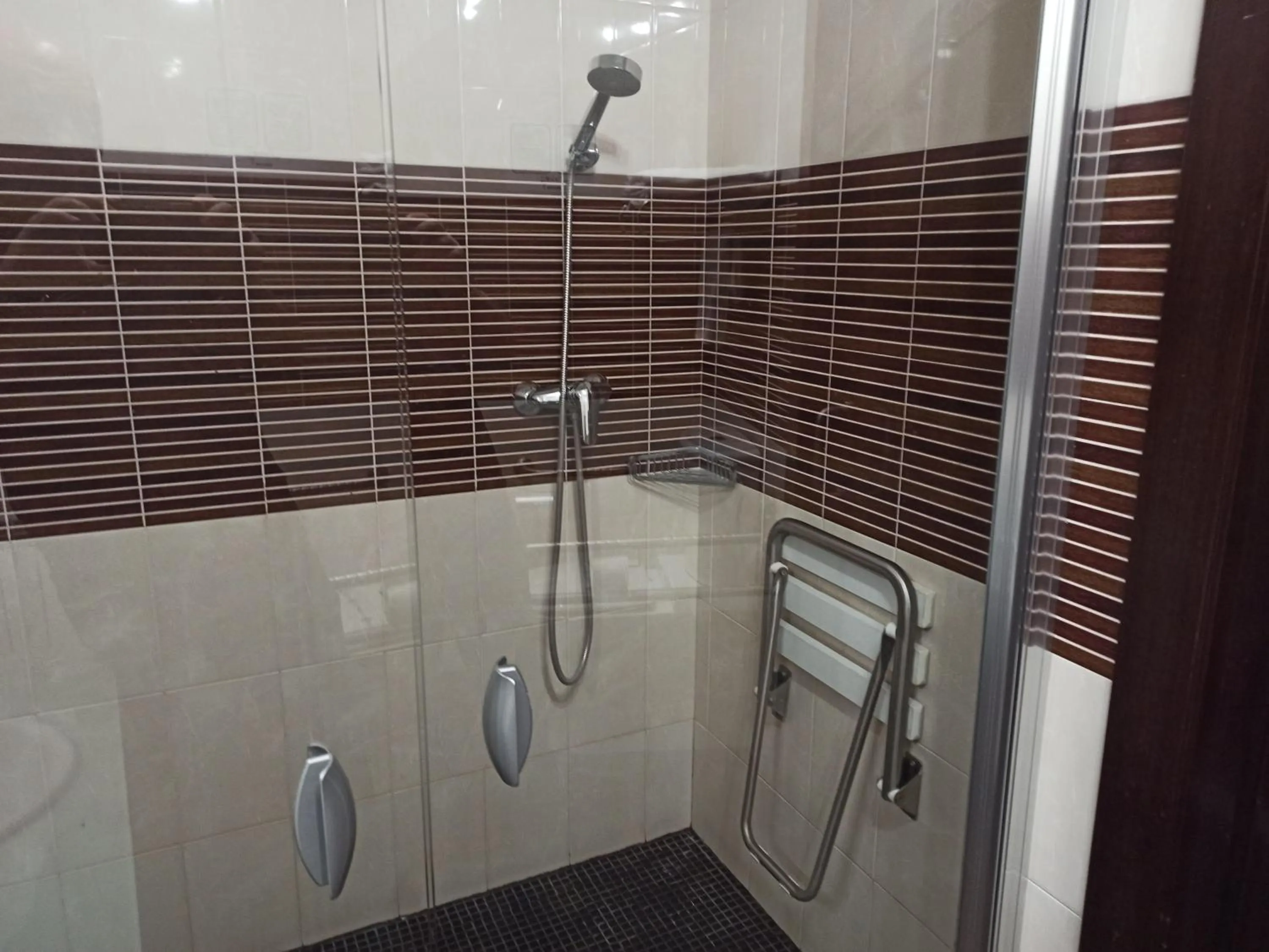 Shower in Hotel Hidalgo