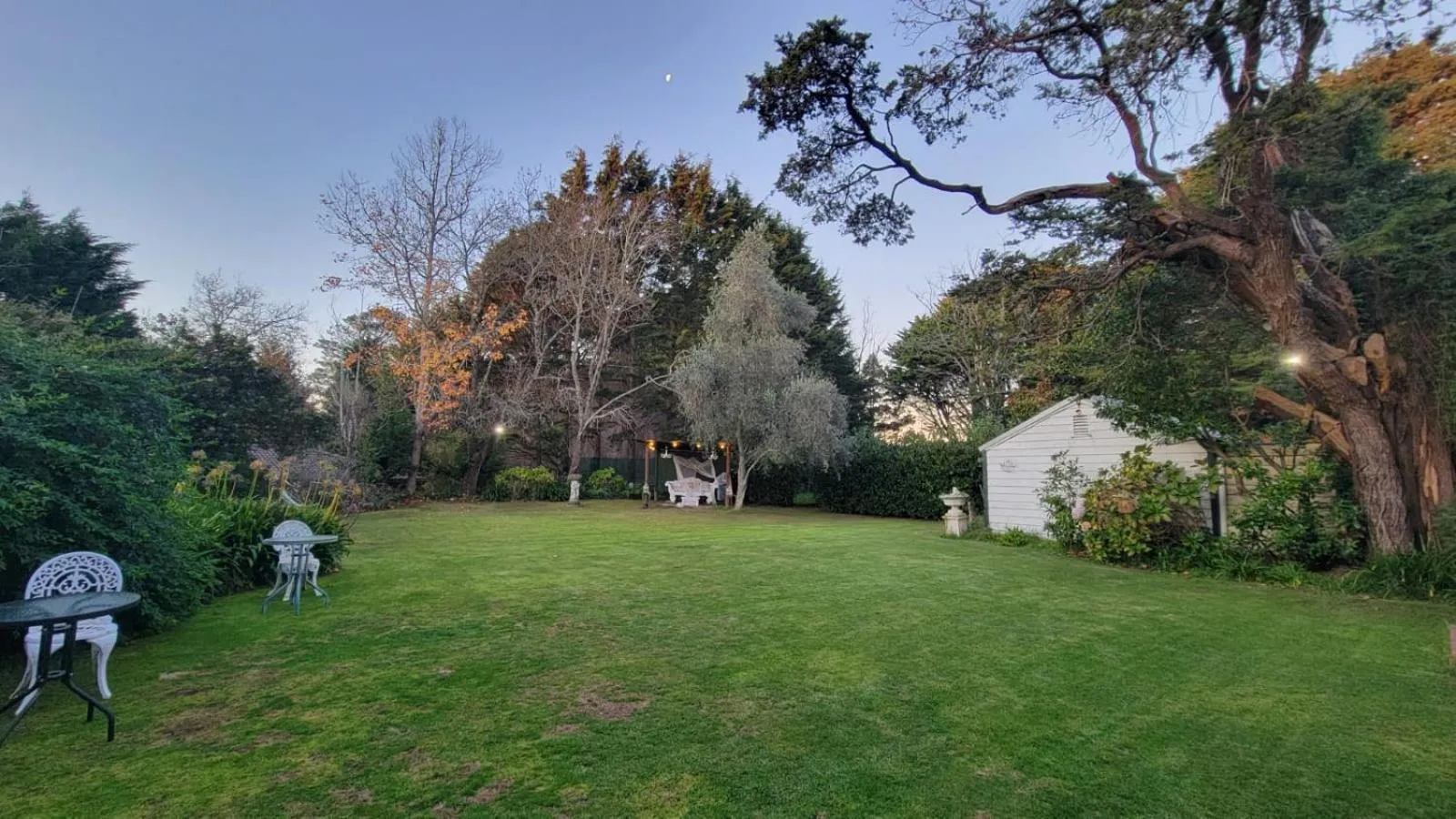 Garden in Leura House