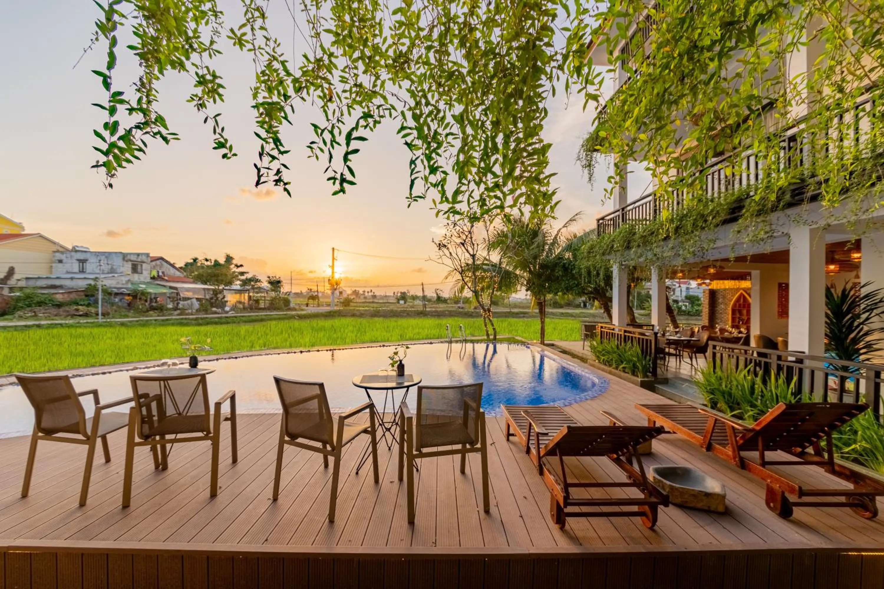 Natural landscape in Sunkised Paddy Hoi An Villa